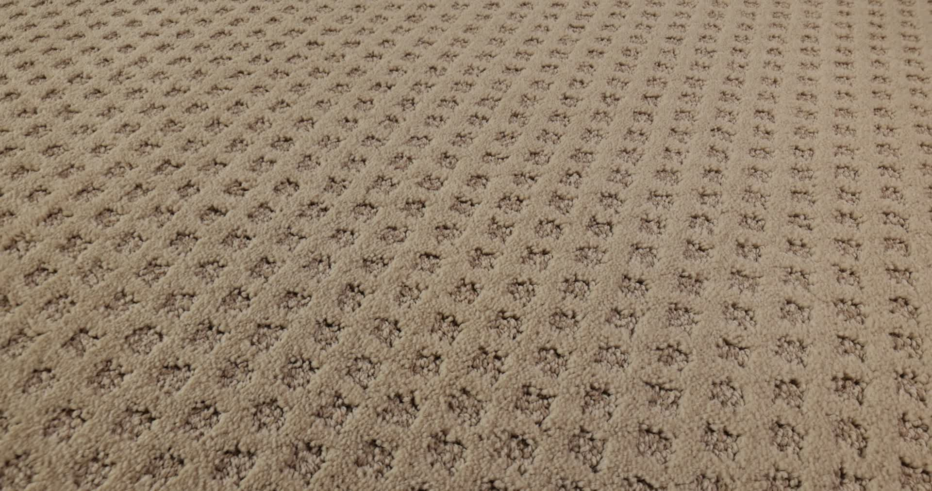 MY EXPRESSION FAWN 360PROD