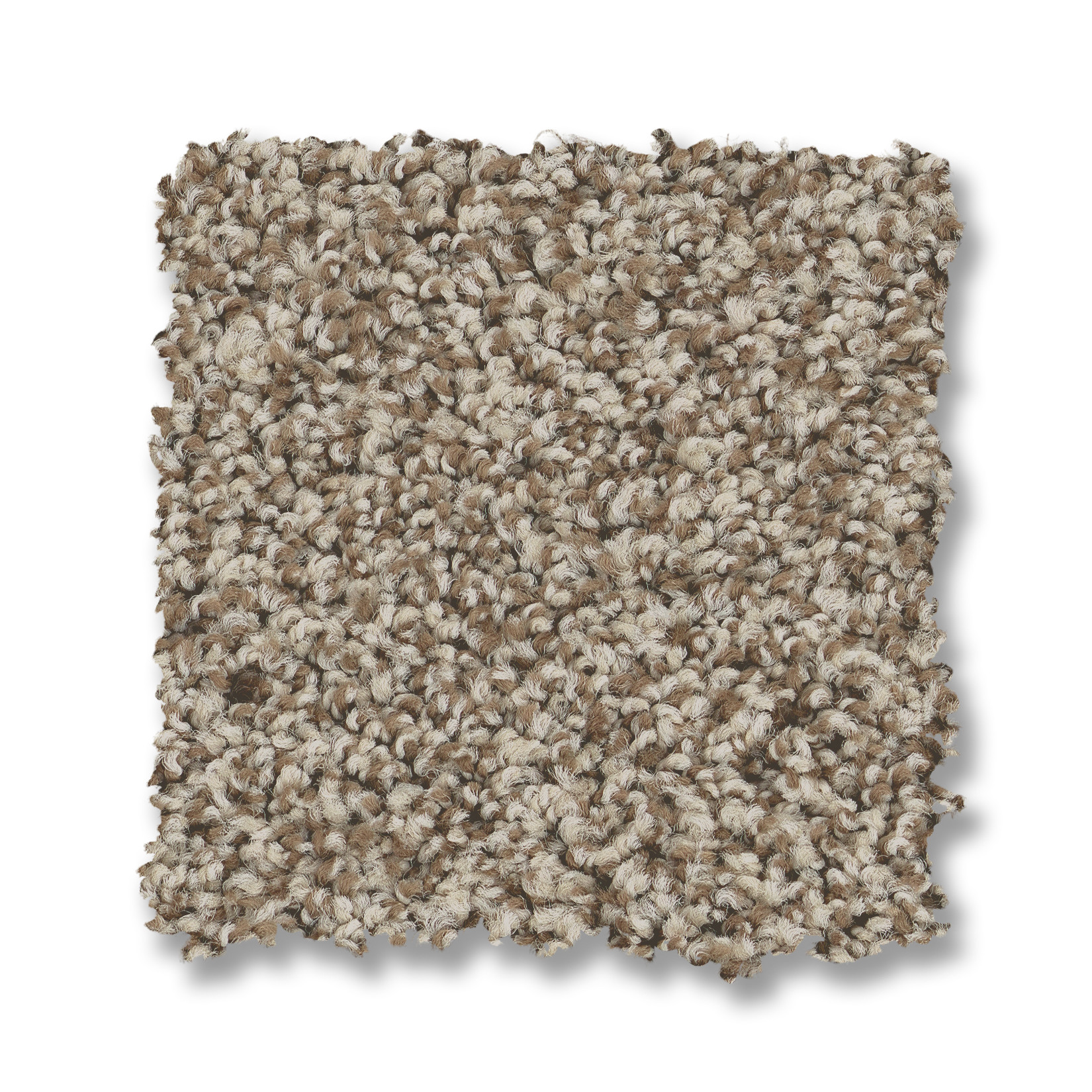 MIRA NOVA PASHMINA SWATCH