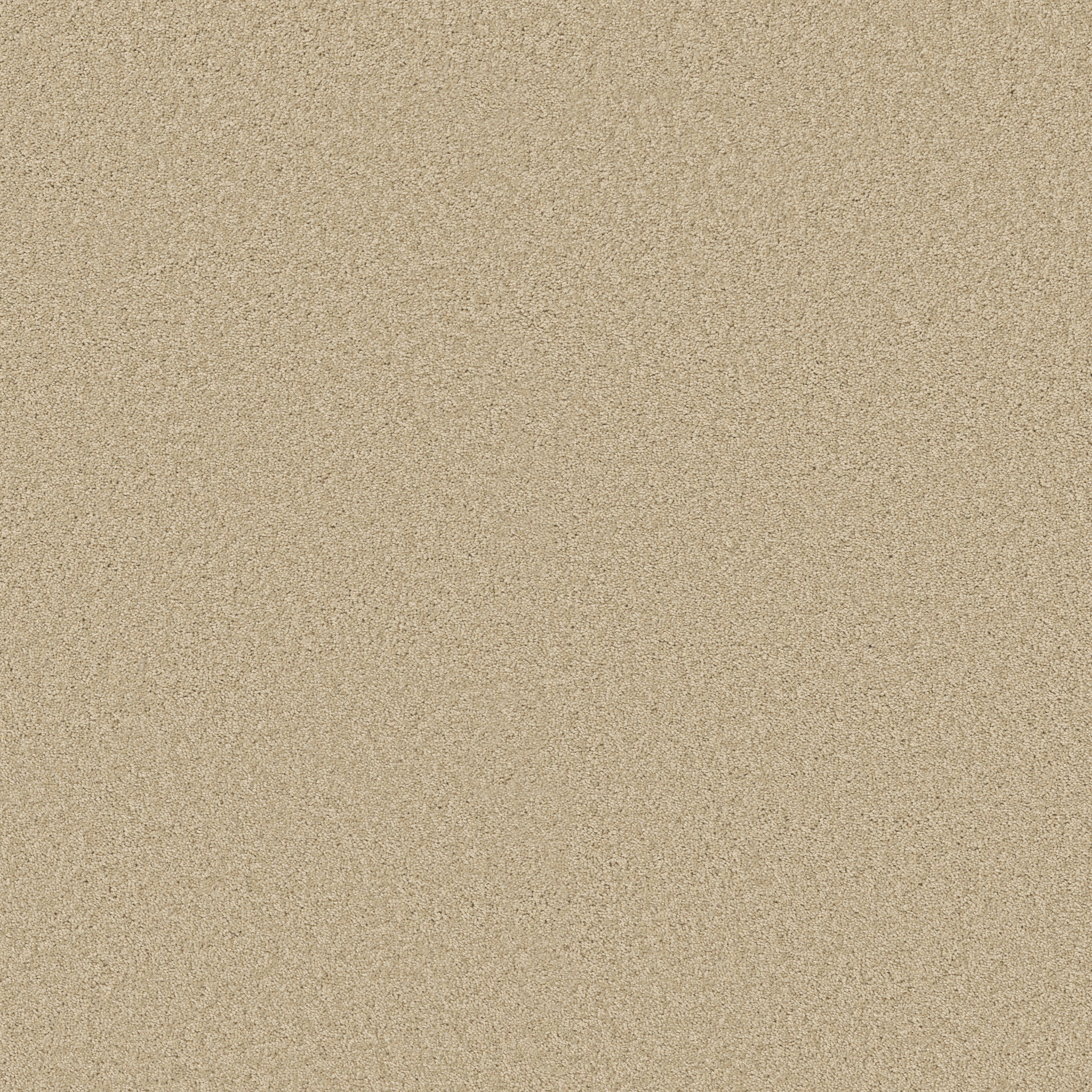 LAGUNA BEACH SANDY SHORE MAIN