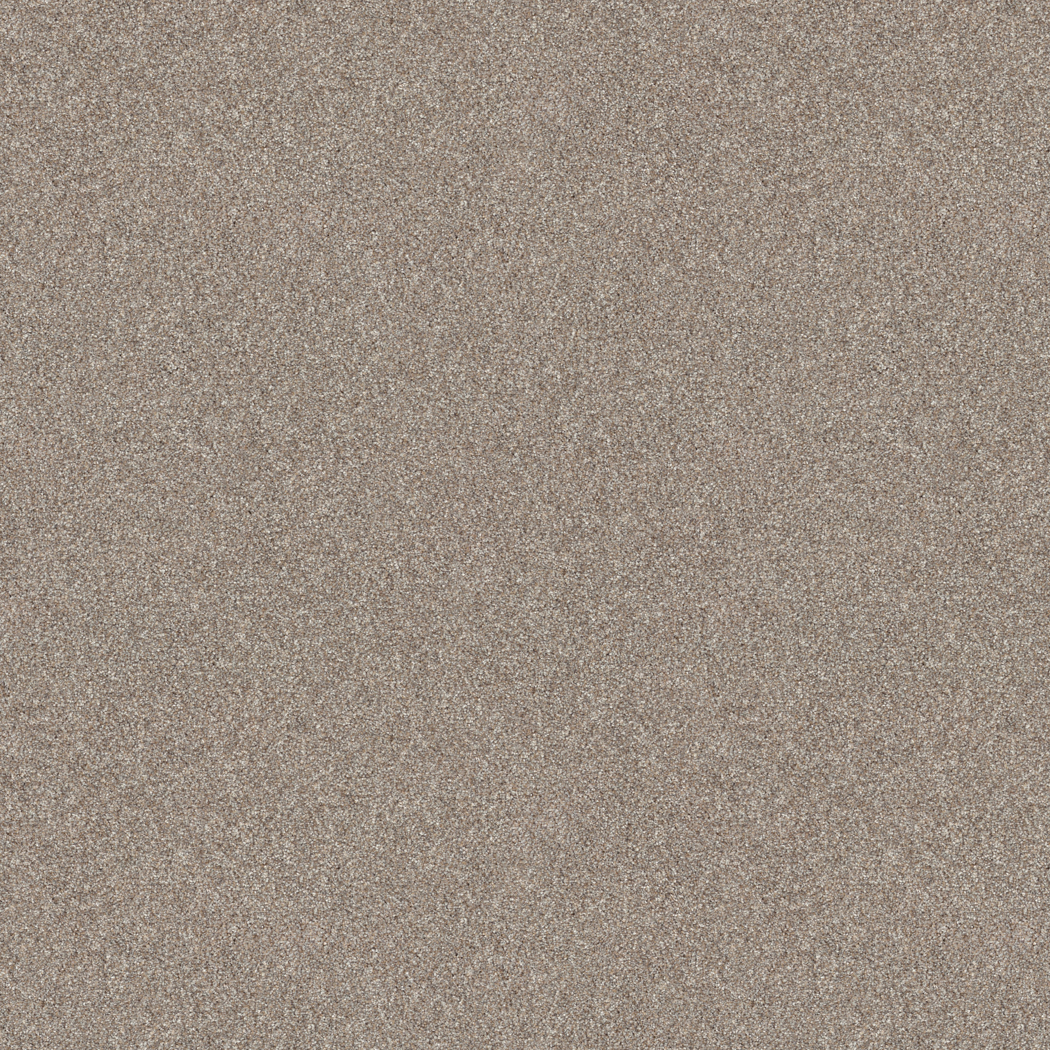 REFINED BEAUTY MUSHROOM MAIN