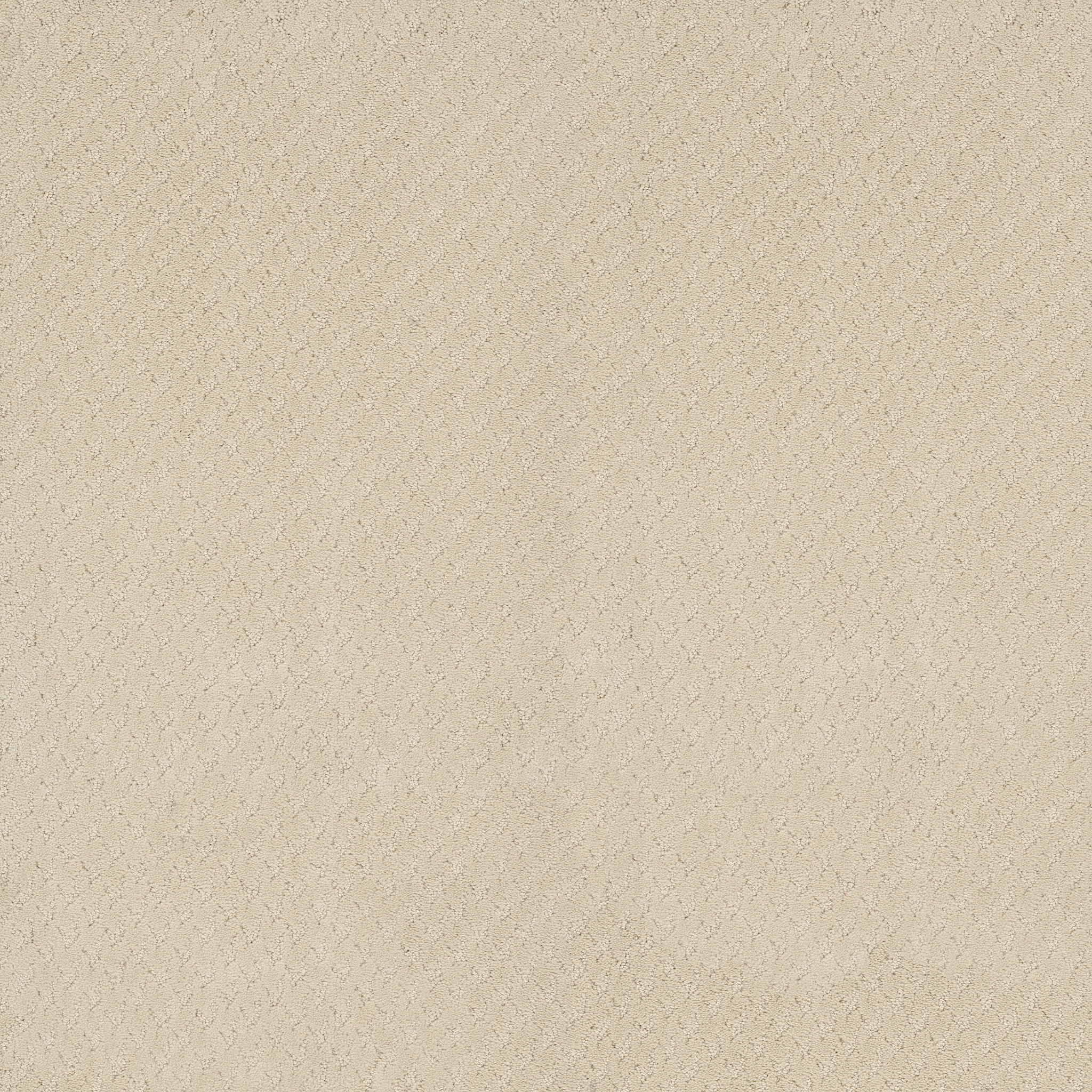 APERTURE BUFF IVORY MAIN