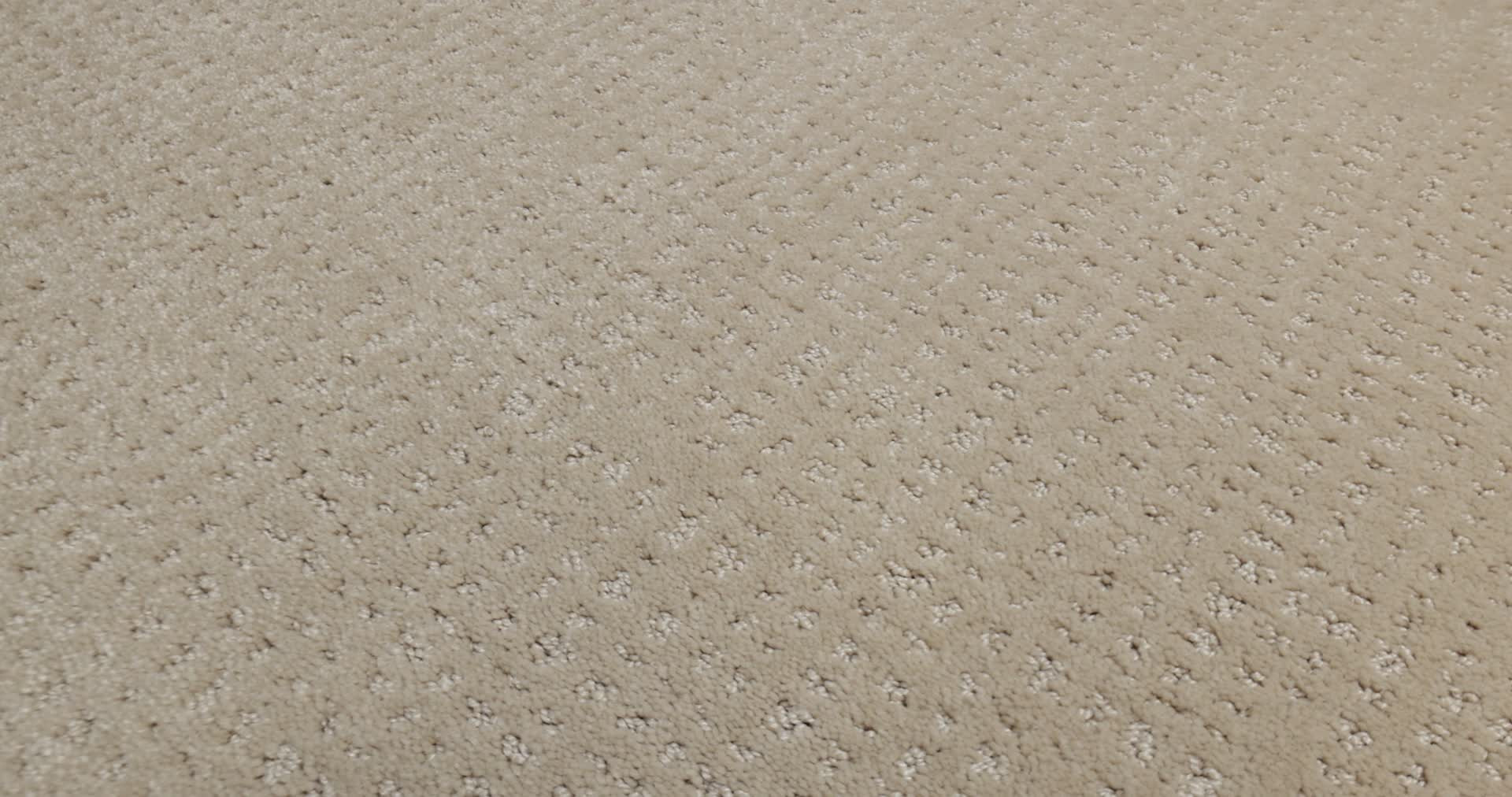 VIVID MEMORIES WALK ON THE BEACH 360PROD