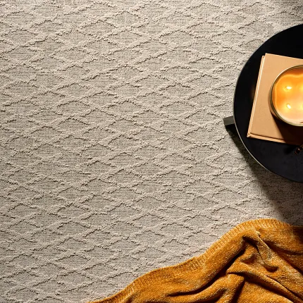 Carpet Care and Maintenance Tips Carpet Care and Maintenance Tips