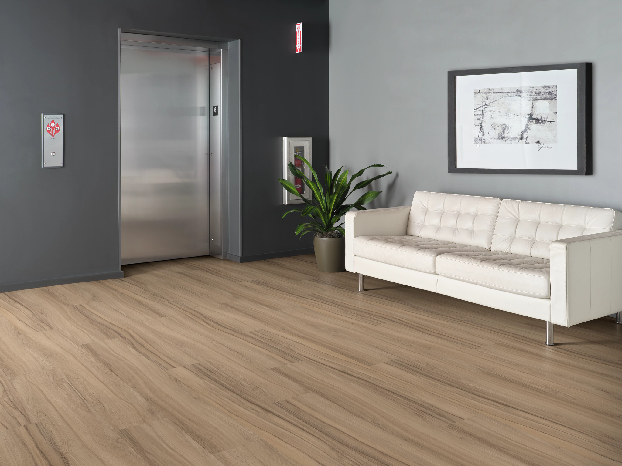 REWILD 5667V AEGIS 00706 room image