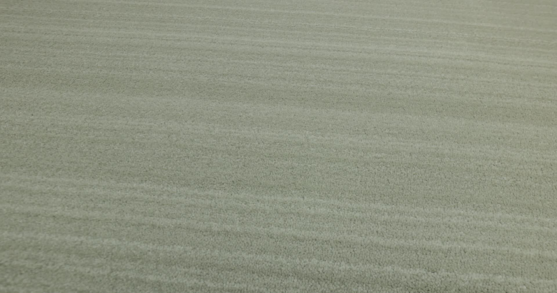 MAGNIFIQUE MOSSY GROVE 360PROD