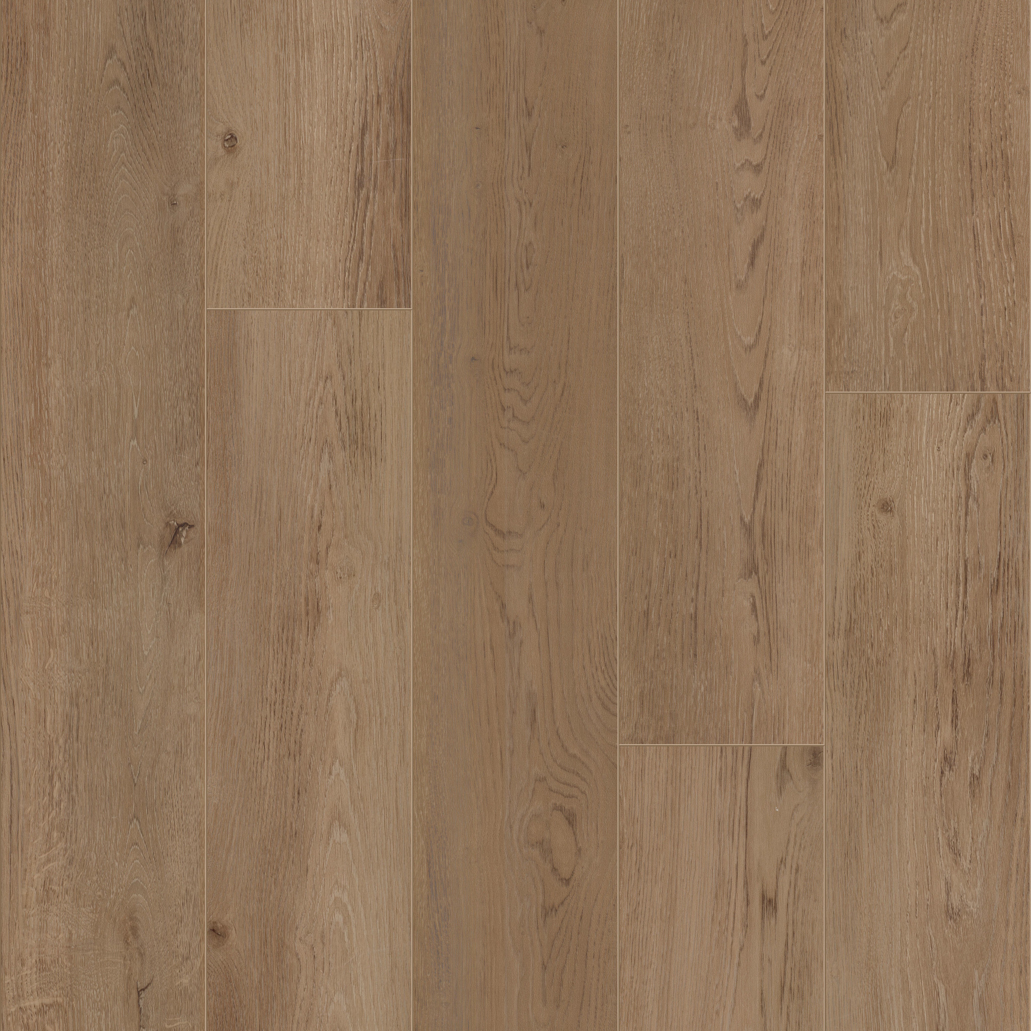 BALTIMORE OAK 84 MAIN