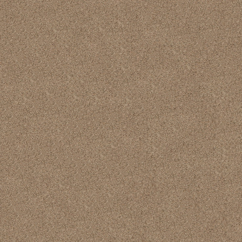 CANYON LAKE in Basic Tan by Shaw Floors