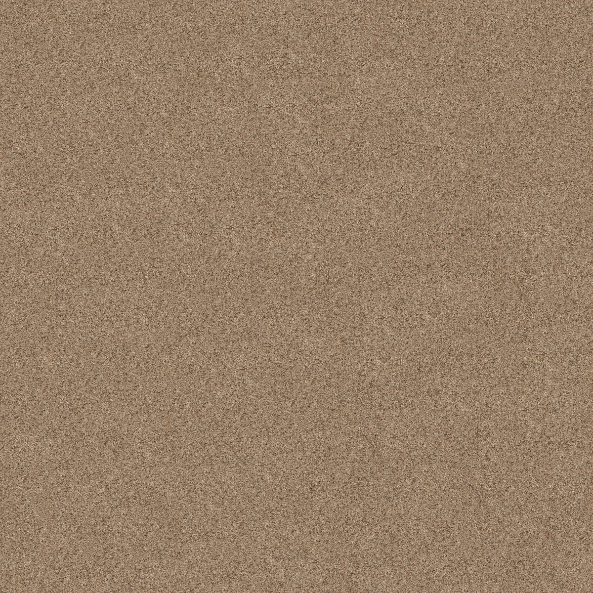 CANYON LAKE — BASIC TAN