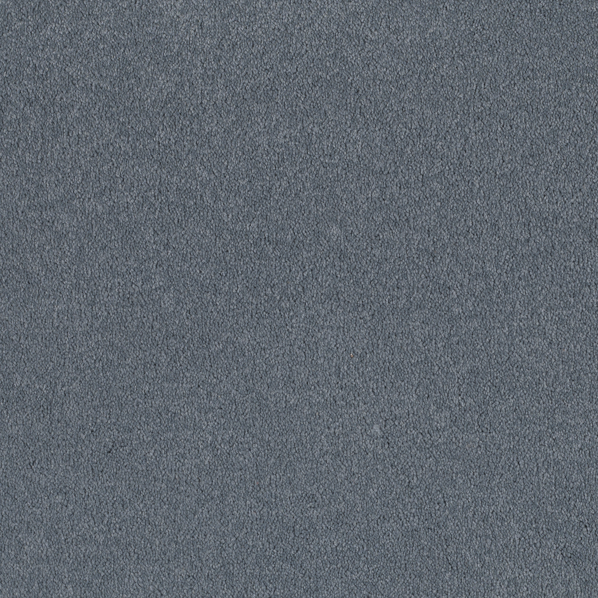 SANDY HOLLOW I 12' BLUE SUEDE MAIN