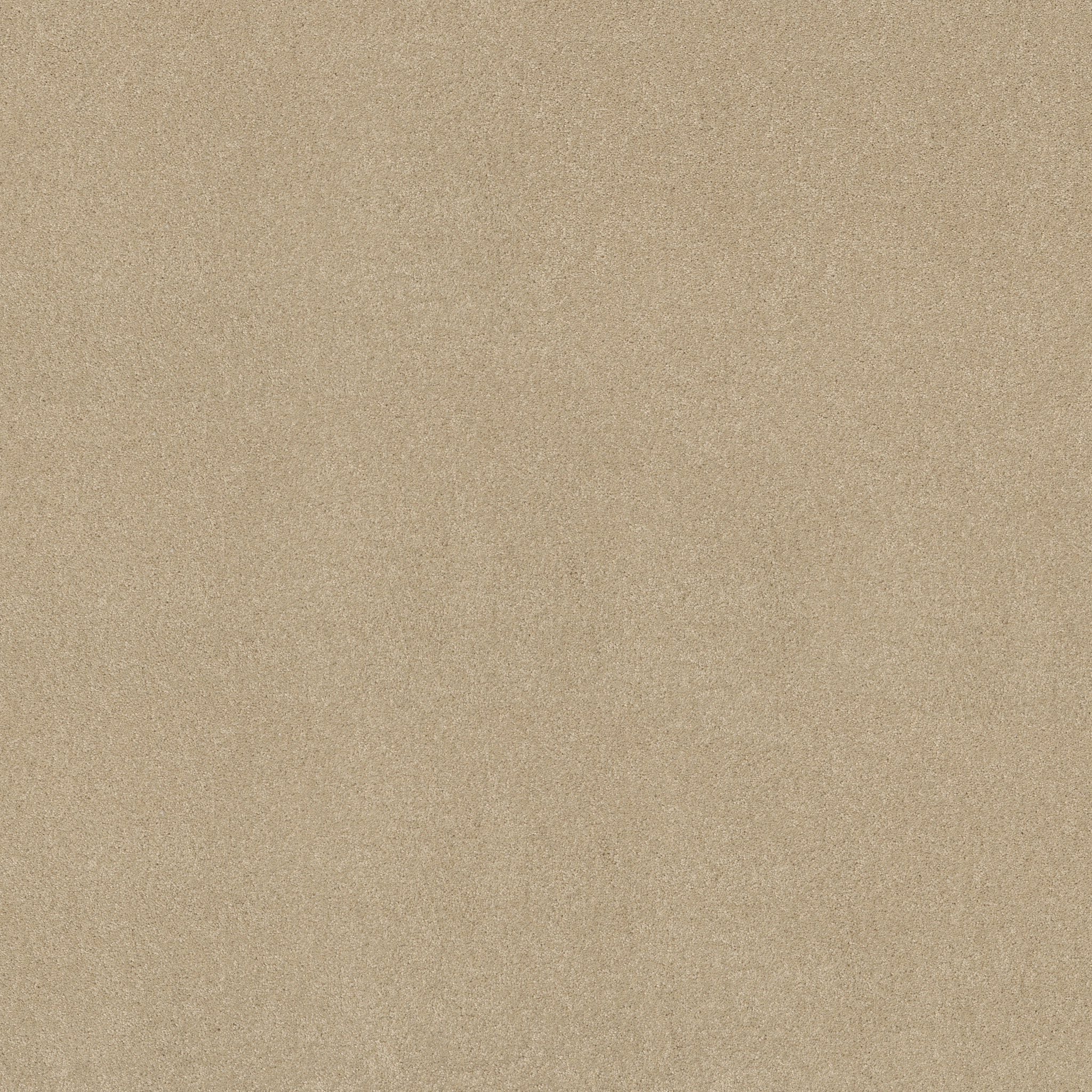 OPPORTUNITY KNOCKS SANDY SHORE MAIN