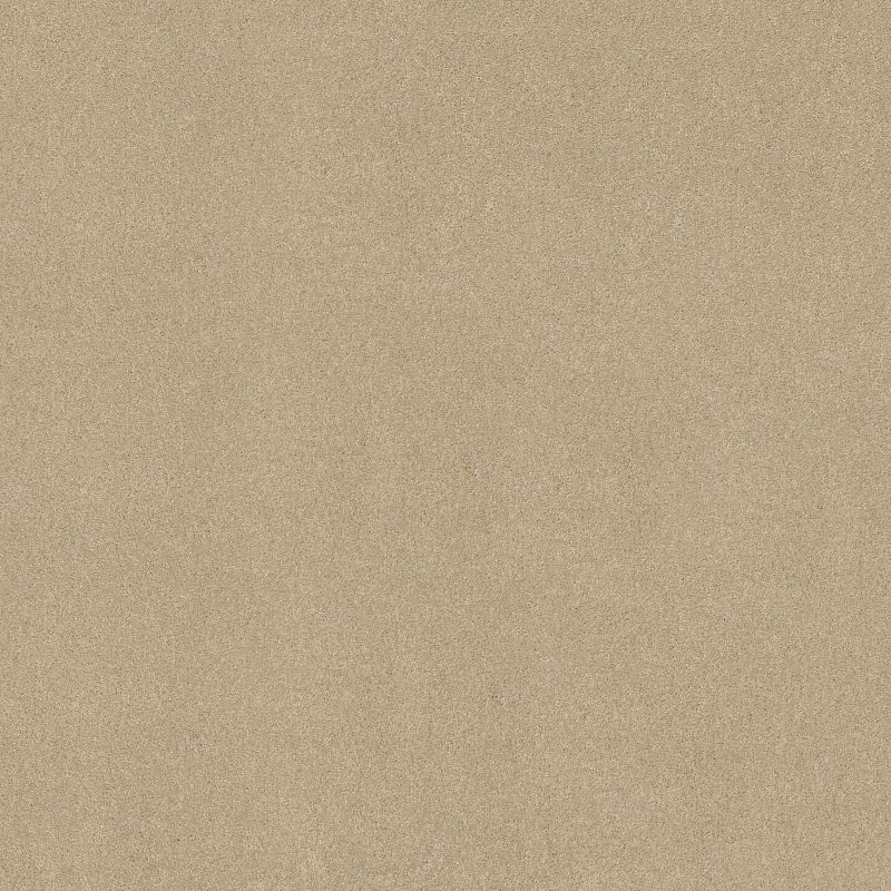 That's Right Broadloom Carpet in Sandy Shore color, 100% Nylon material, 12 ft width, 125 ft roll length.