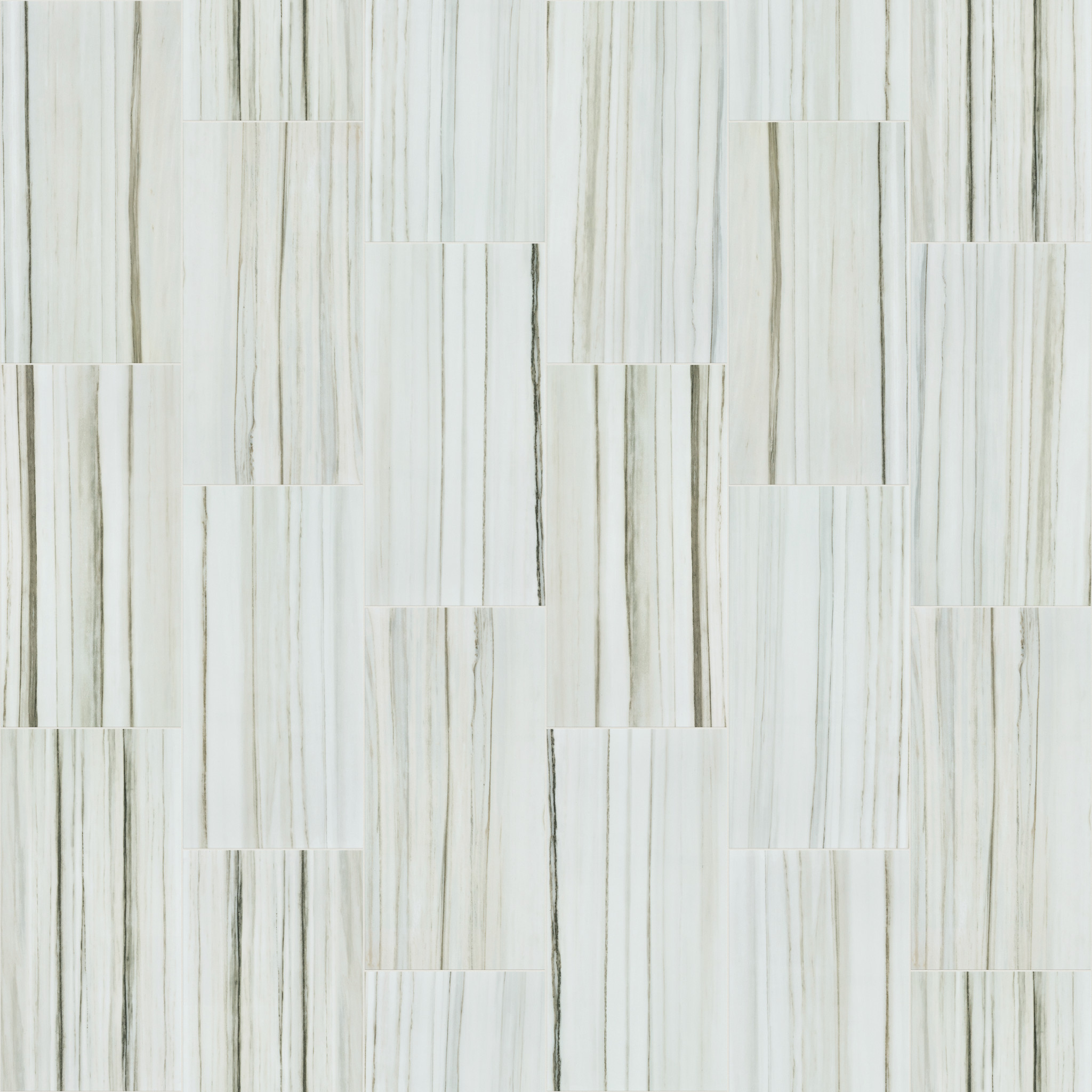 CASINO 12X24 POLISH ZEBRINO MAIN