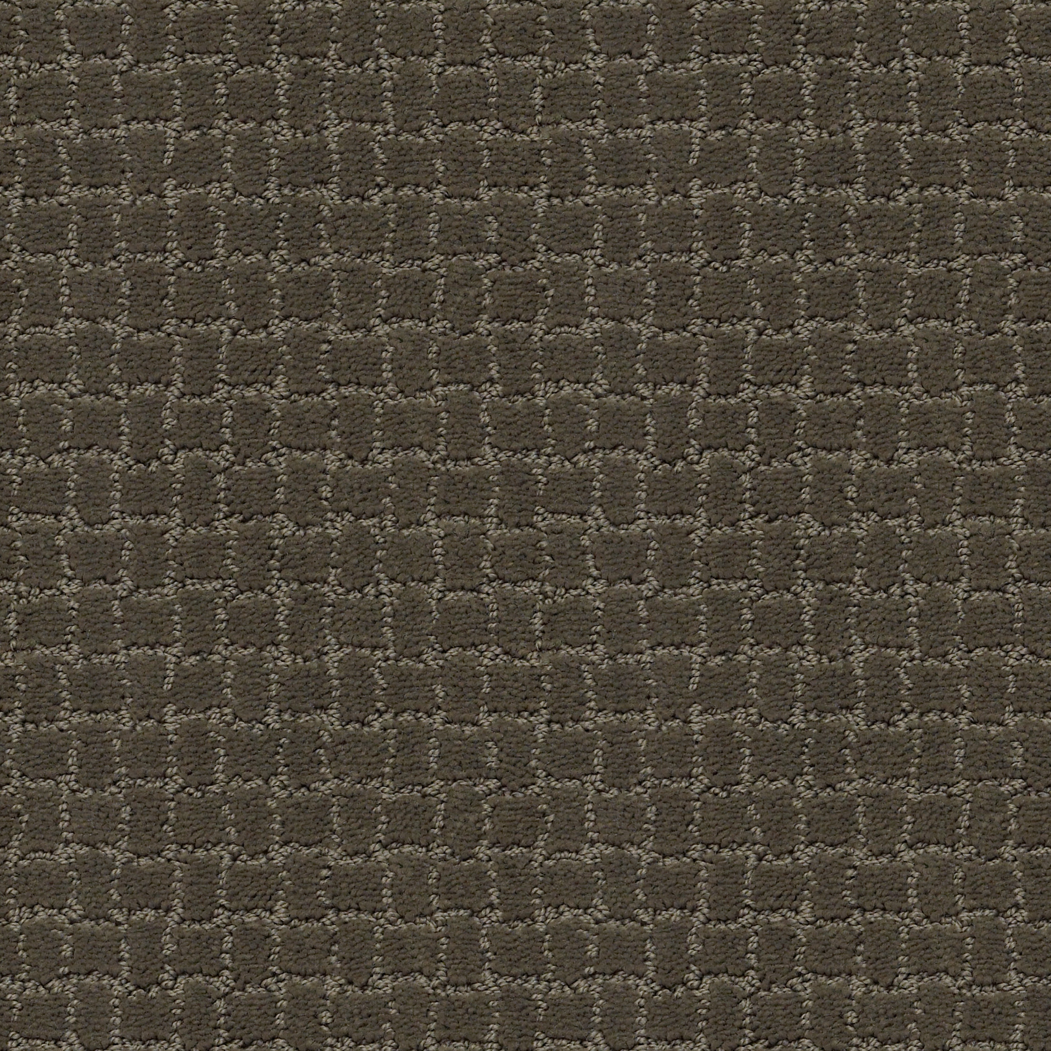 PAWSTRUCK OVERCOAT MAIN