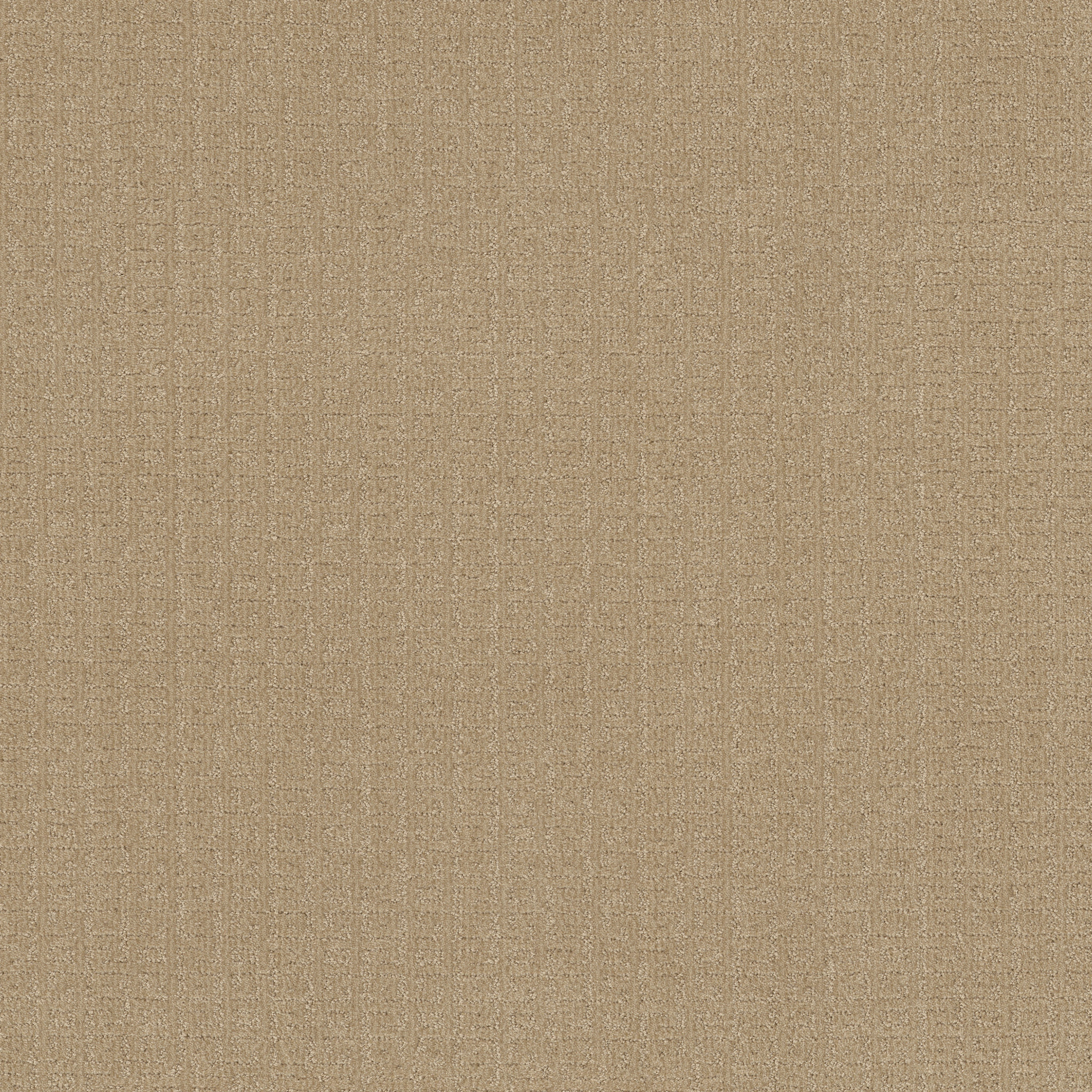 VIGNETTE RIVIERA BEACH MAIN