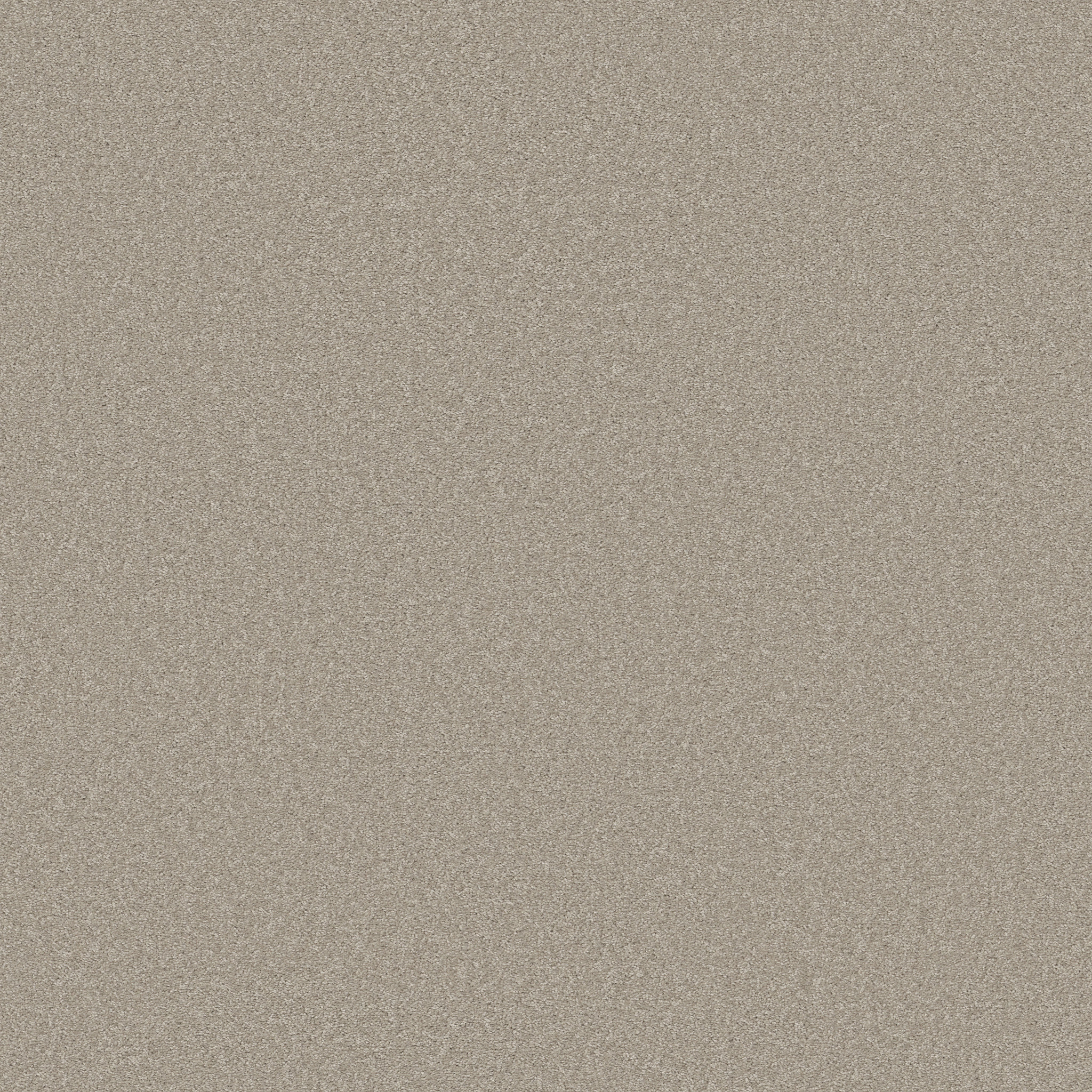 JEALOUSY REFLECTION MAIN