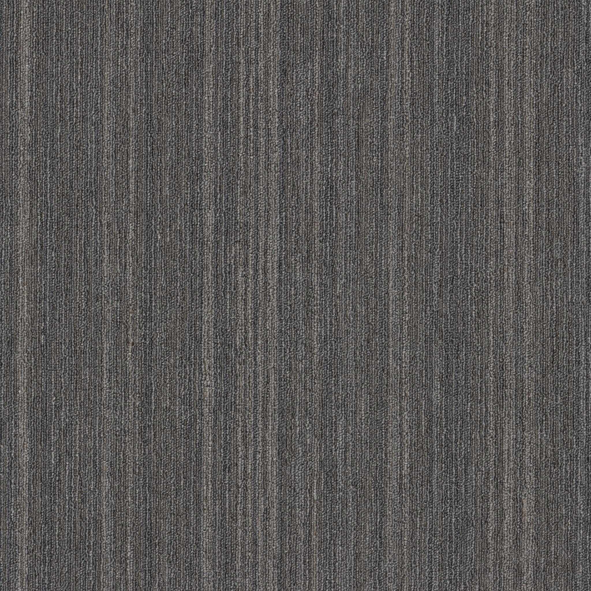 INTELLECT-54845-WISDOM-45500-main-image