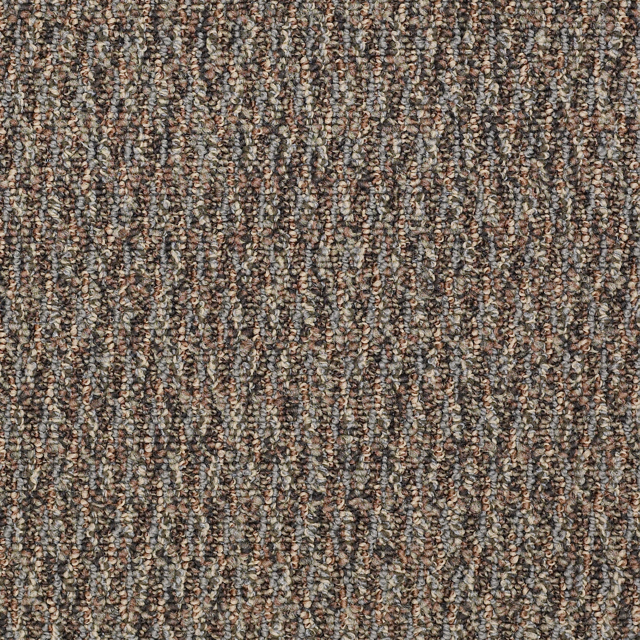 SPEAK-FREELY-54446-CANDID-46502-main-image