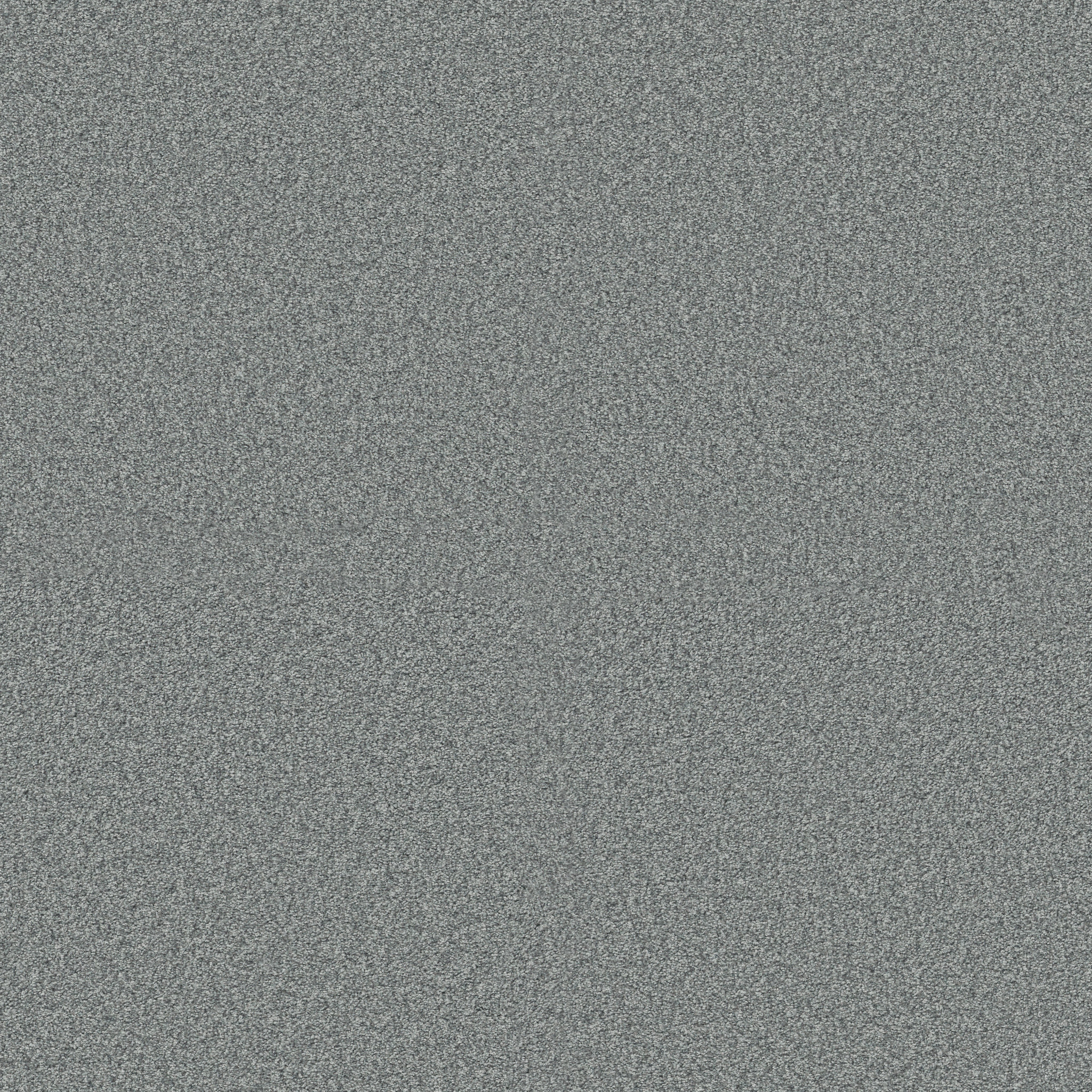 Find your comfort II - Tonal DOLPHIN SIGHTIN MAIN