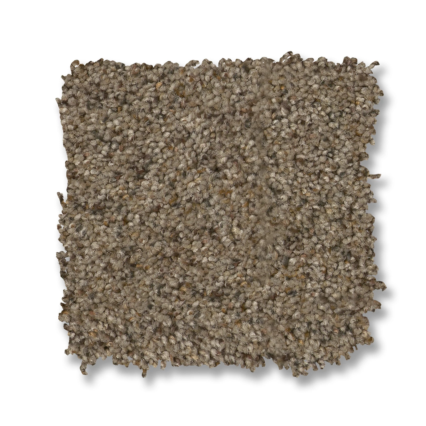 Topanga Canyon MORNING BLEND SWATCH