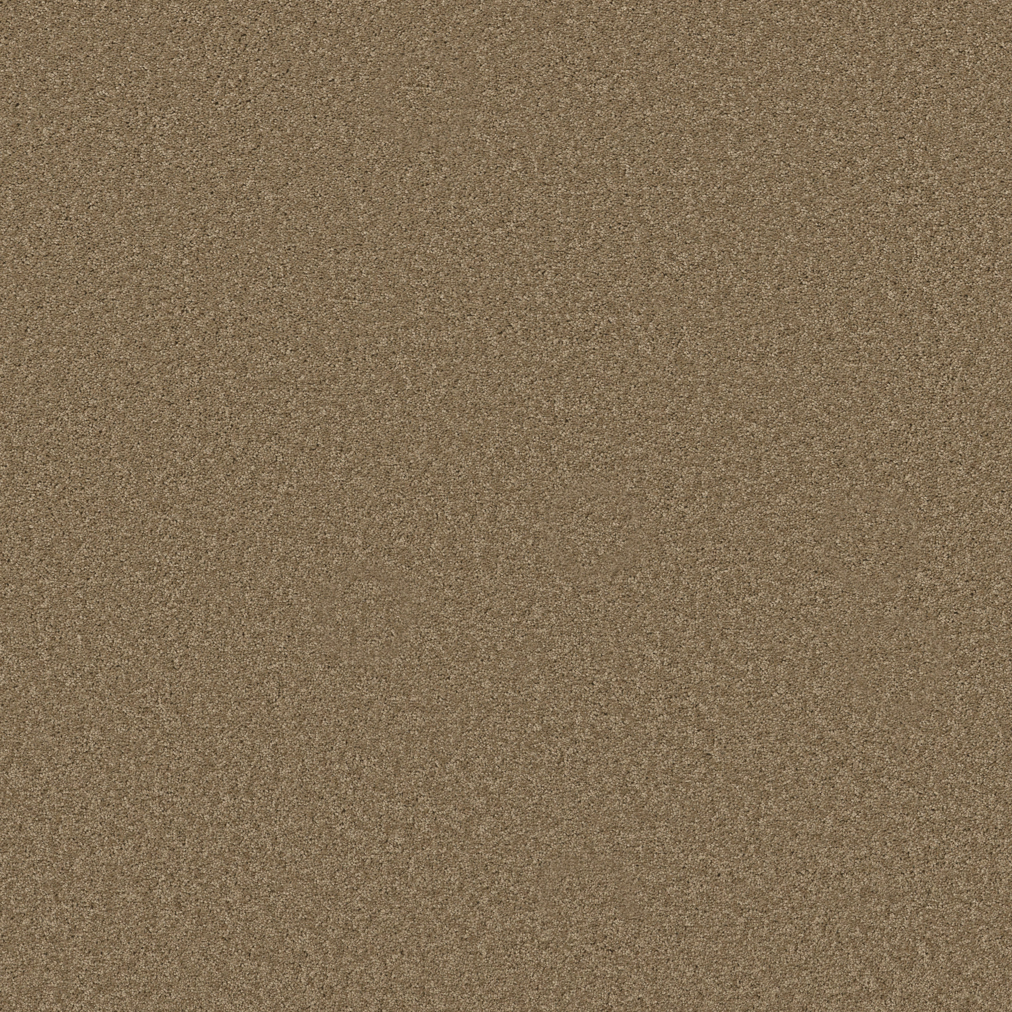 LAGUNA BEACH ACORN MAIN