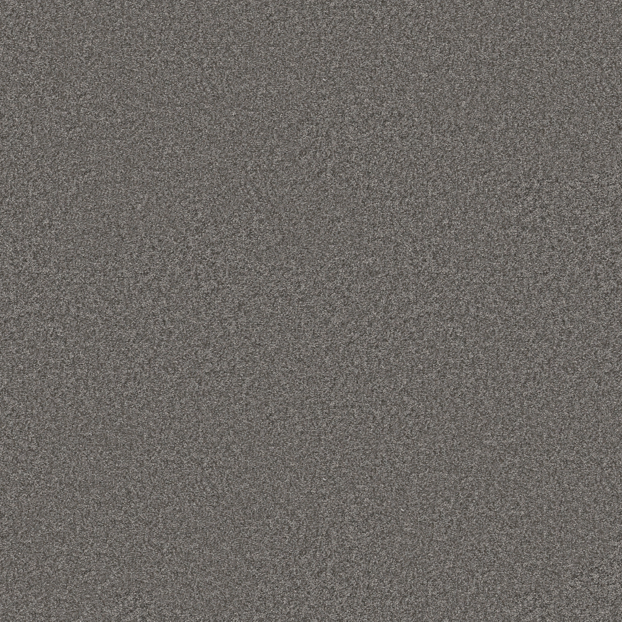 YOU GOT THIS II ASHES MAIN