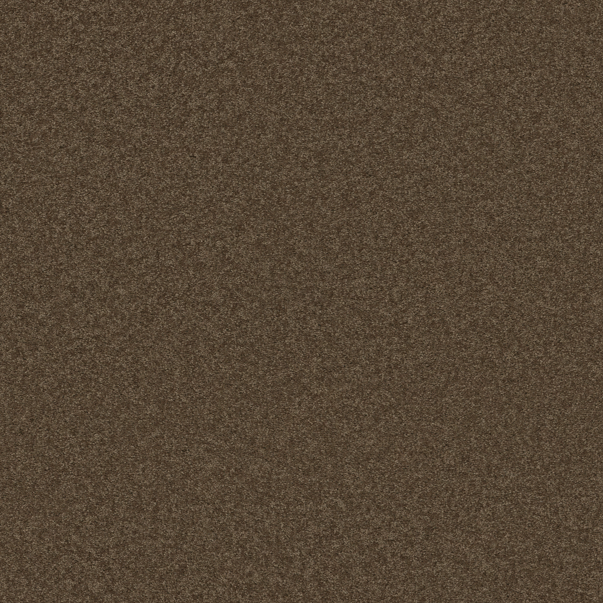 BEAUTIFULLY SIMPLE I 15' BRIAR PATCH MAIN