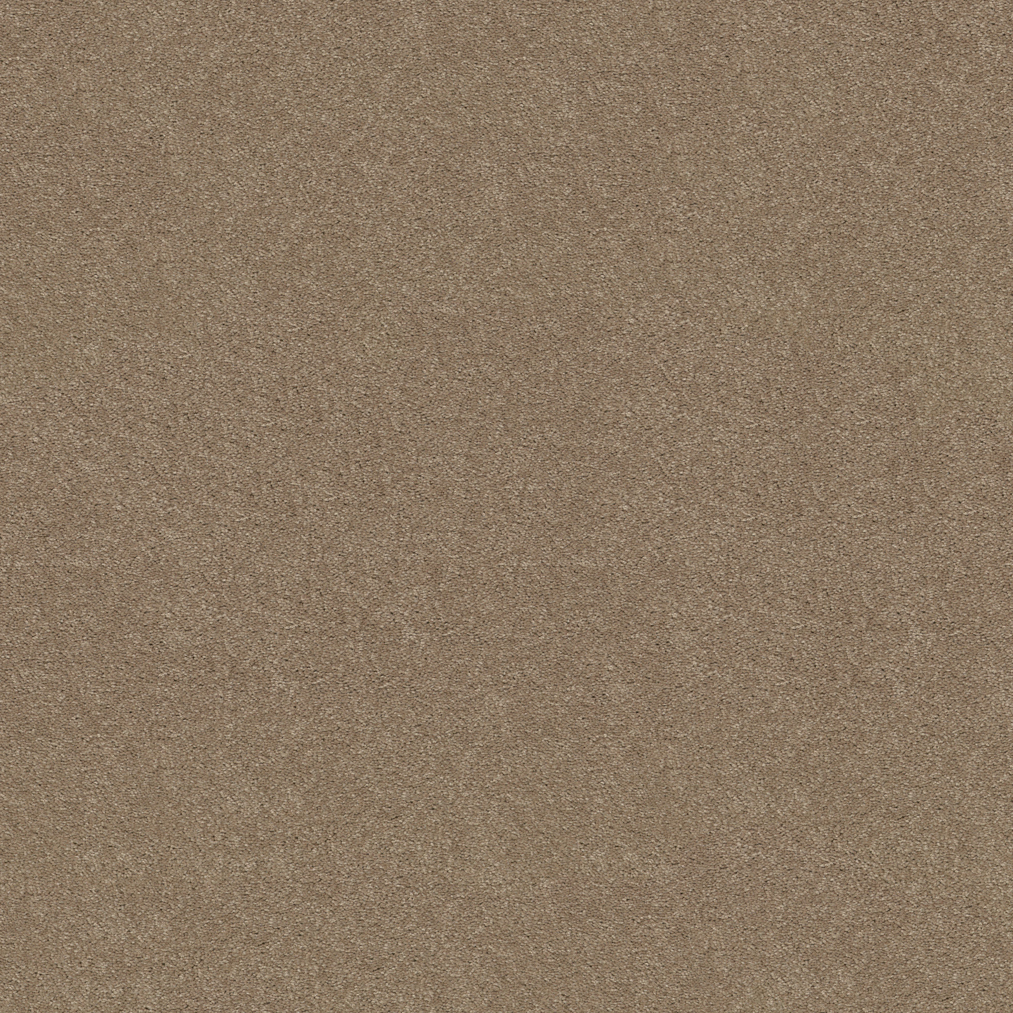 DESIGNER'S CHOICE HONEYCOMB MAIN