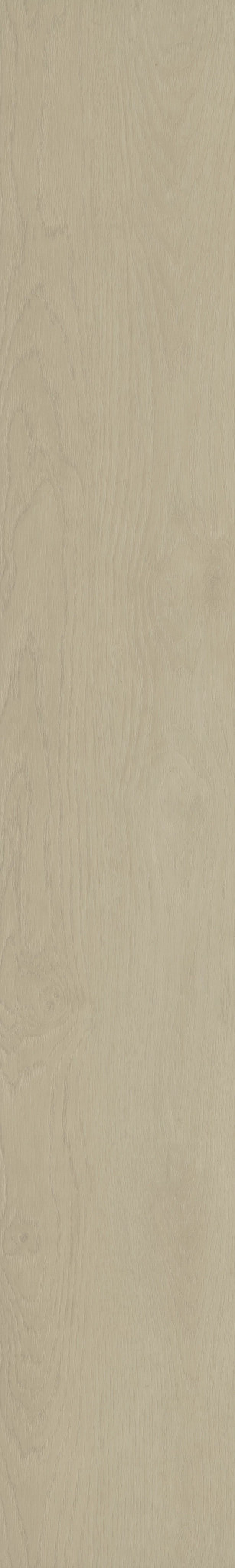 HOMEWARD SUBTLE BEIGE 1TO1