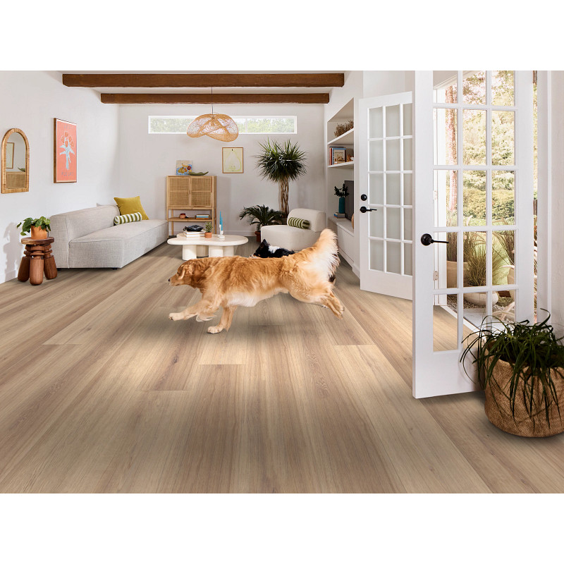 BRIARD in Flax Oak by Shaw Floors