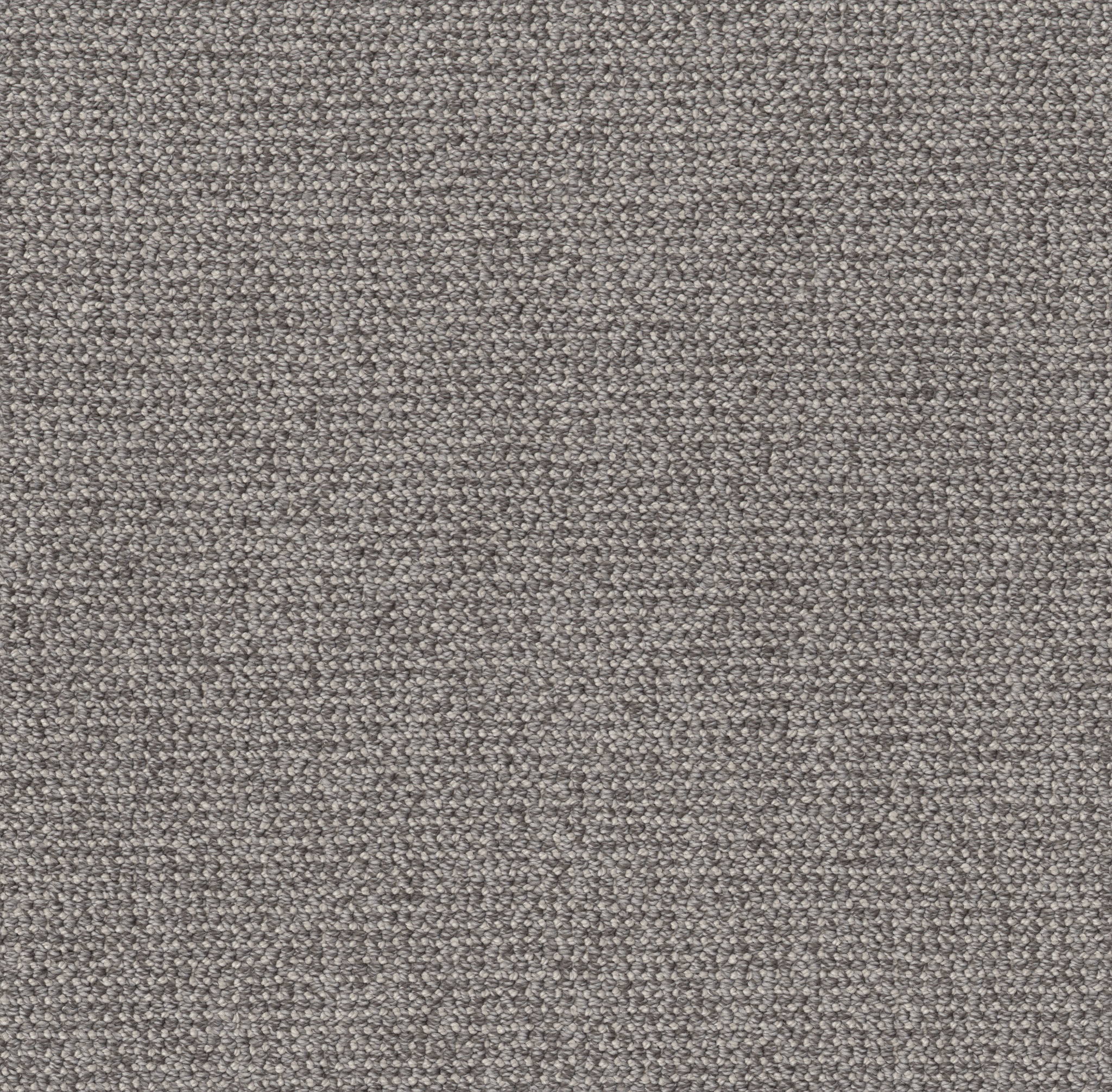 PURRFECTION WILLOW MAIN