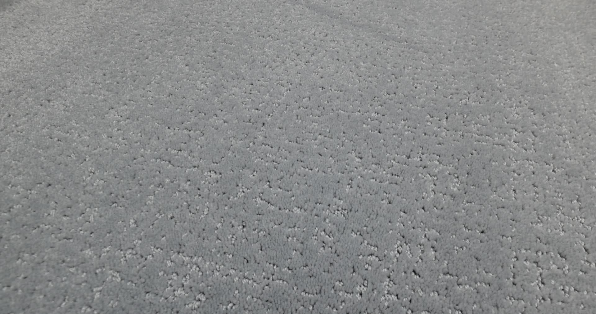 CANVAS COMFORT DOLPHIN SIGHTING 360PROD