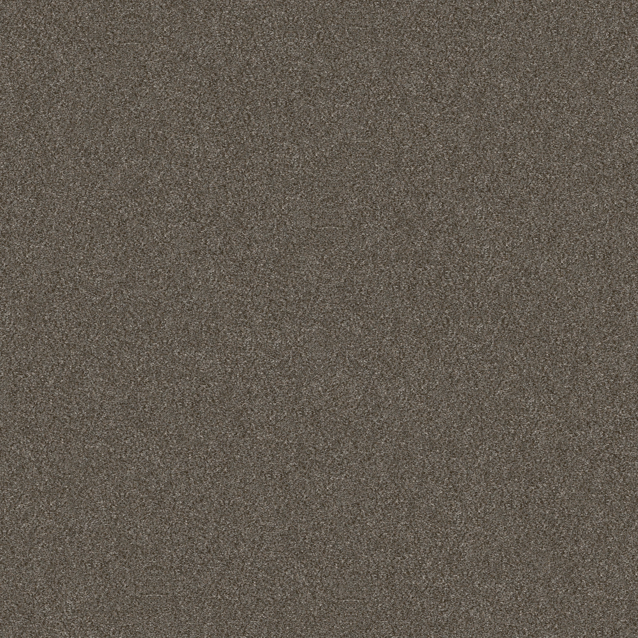 WITHOUT LIMITS II BOARDWALK MAIN