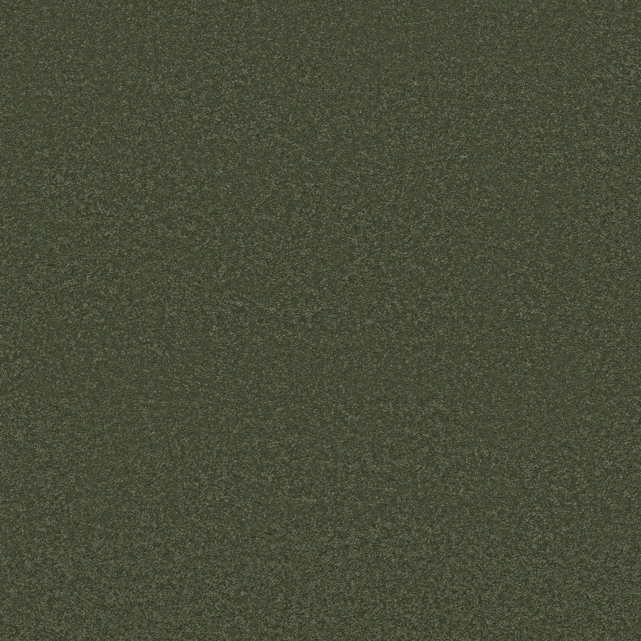 Elegant Beauty - 100% ANSO® High Performance Nylon in Dark