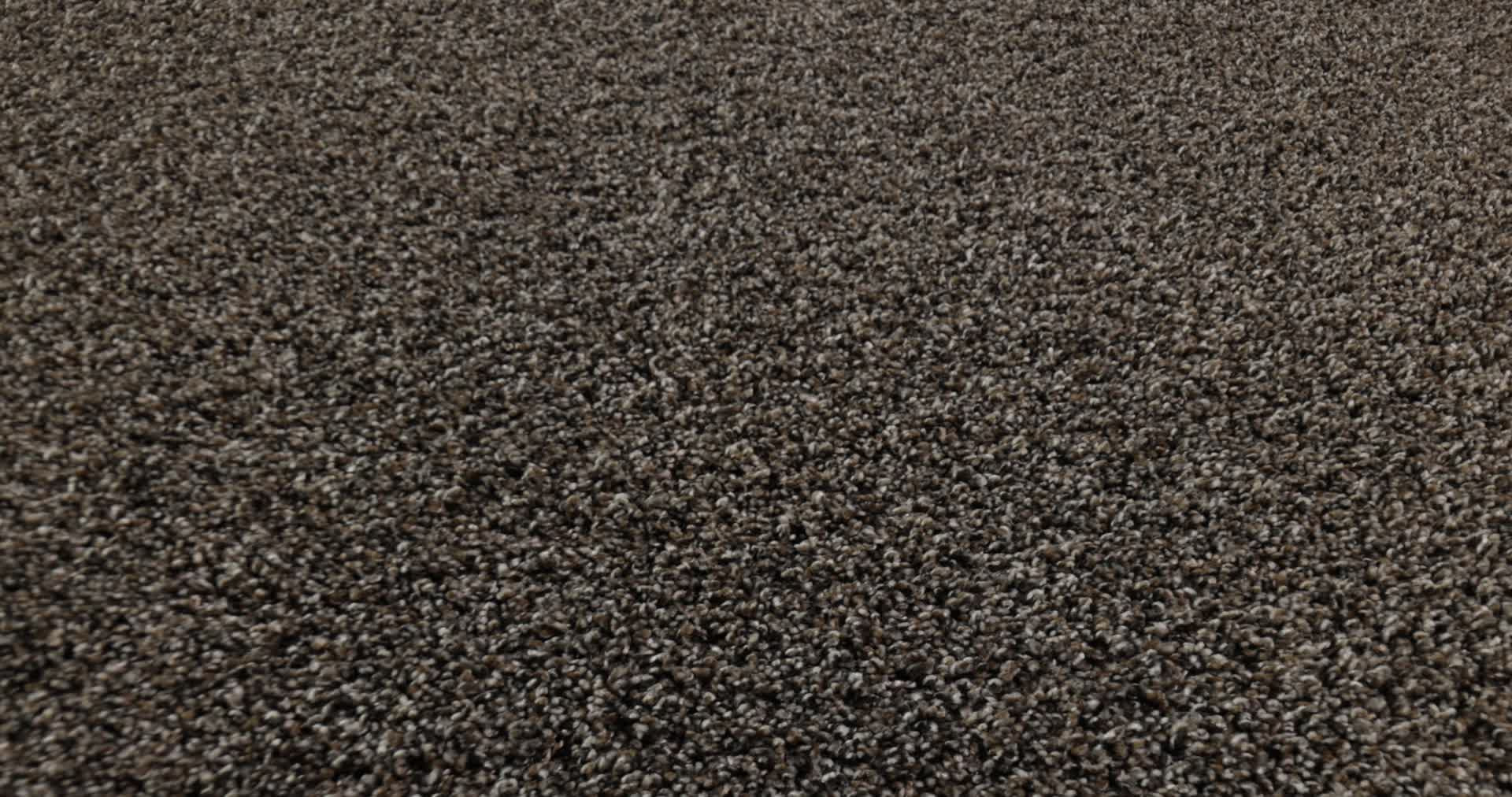 YES YOU CAN III 12' CAFE NOIR 360PROD