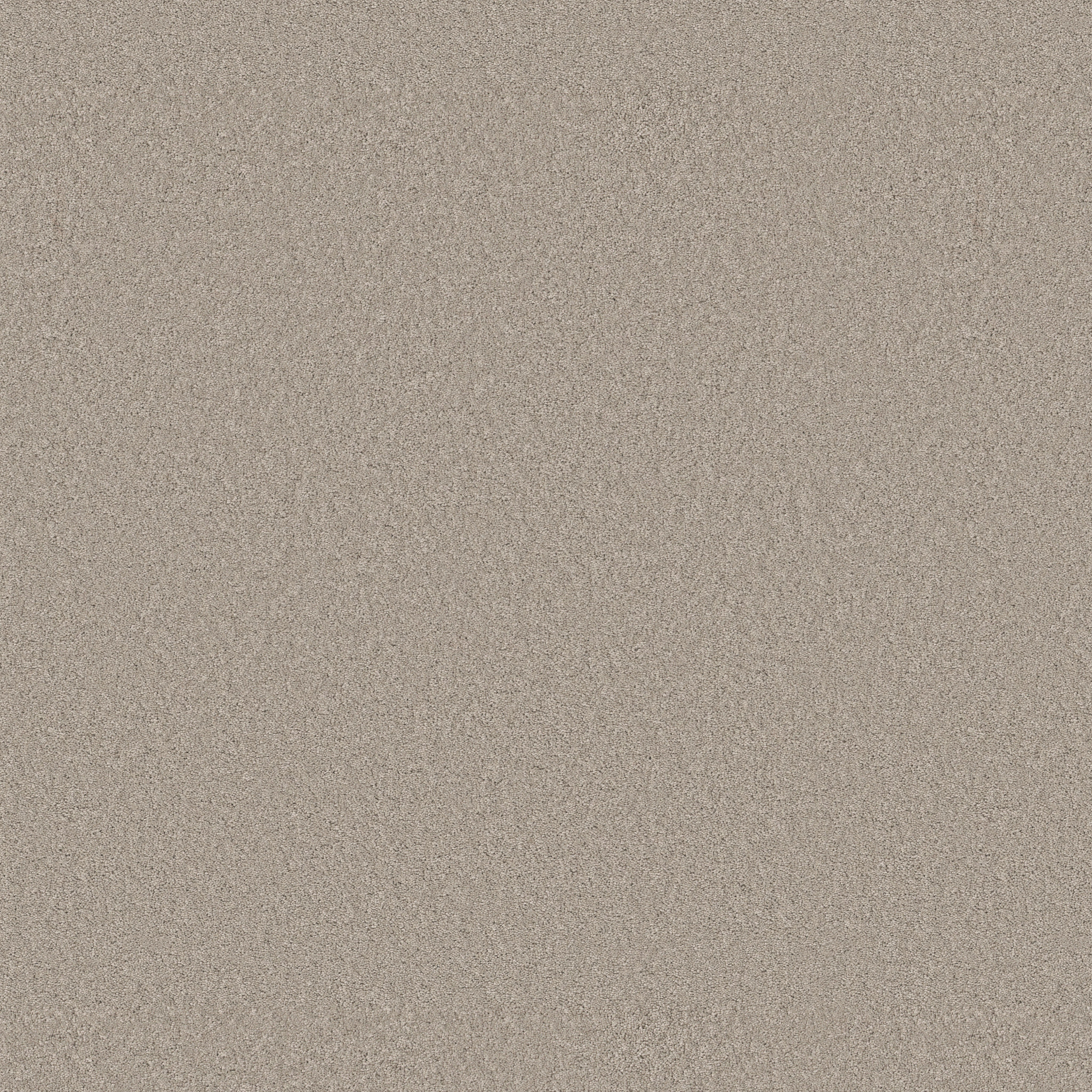 ENDURING CHARM STRING MAIN