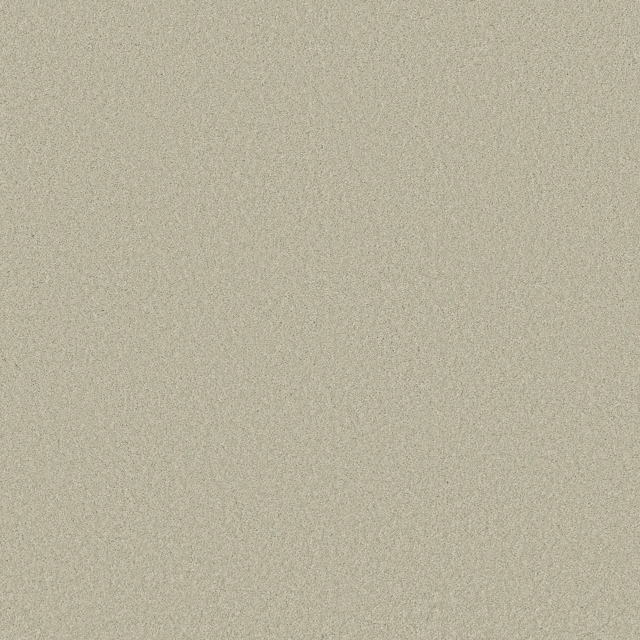 ENDURING CHARM ALOE WASH MAIN