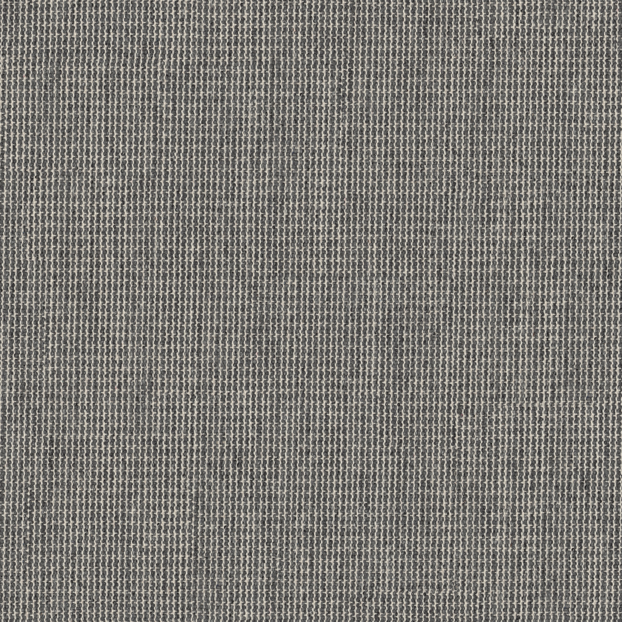 TAPESTRY STINGRAY MAIN