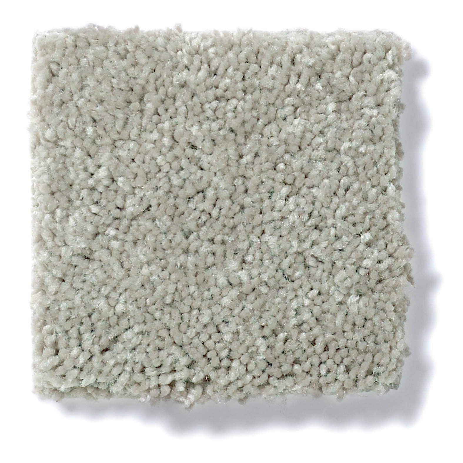 CHALLENGE ACCEPTED II 12 WILD RICE SWATCH