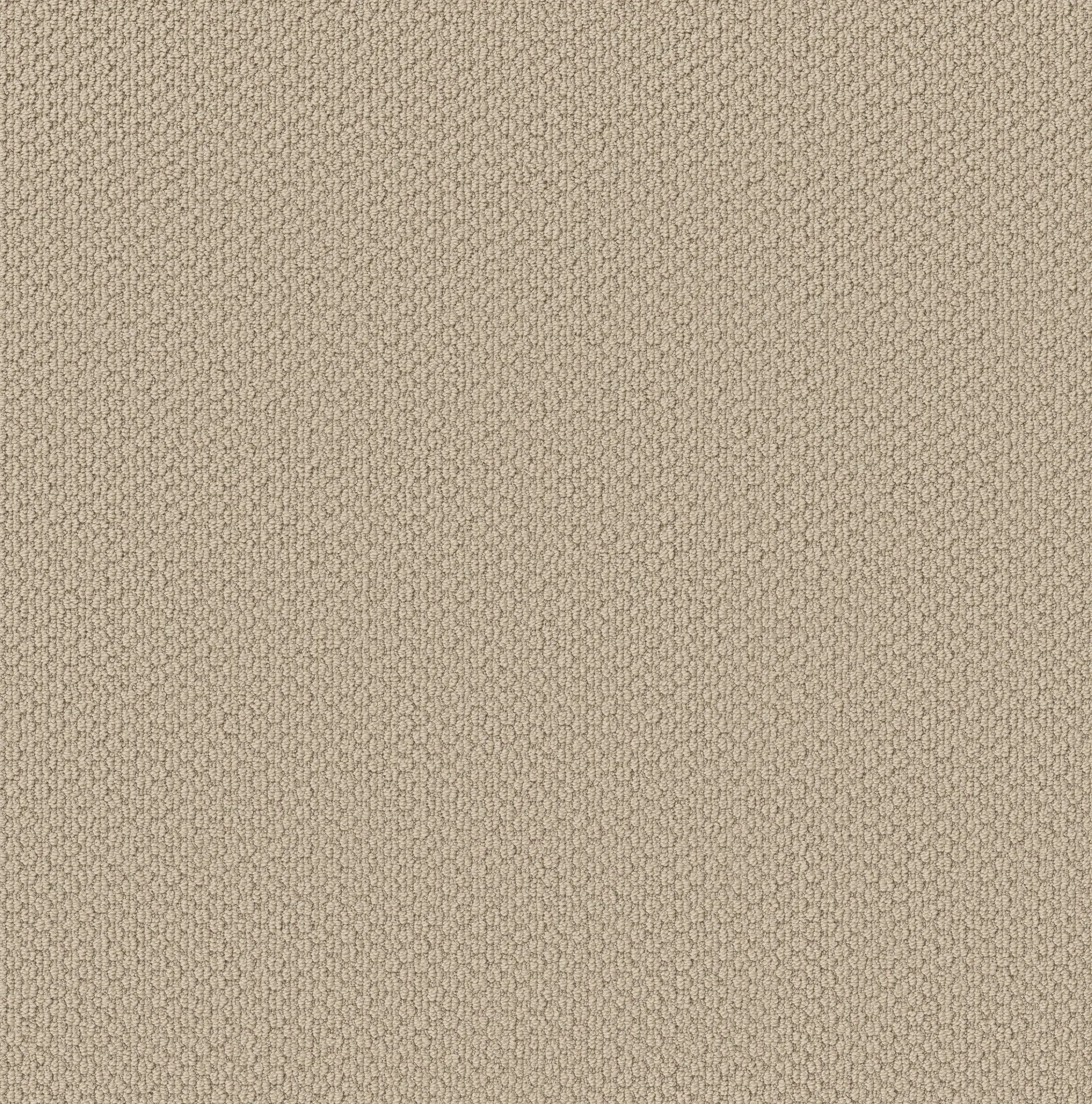 Beige soft surface carpet swatch