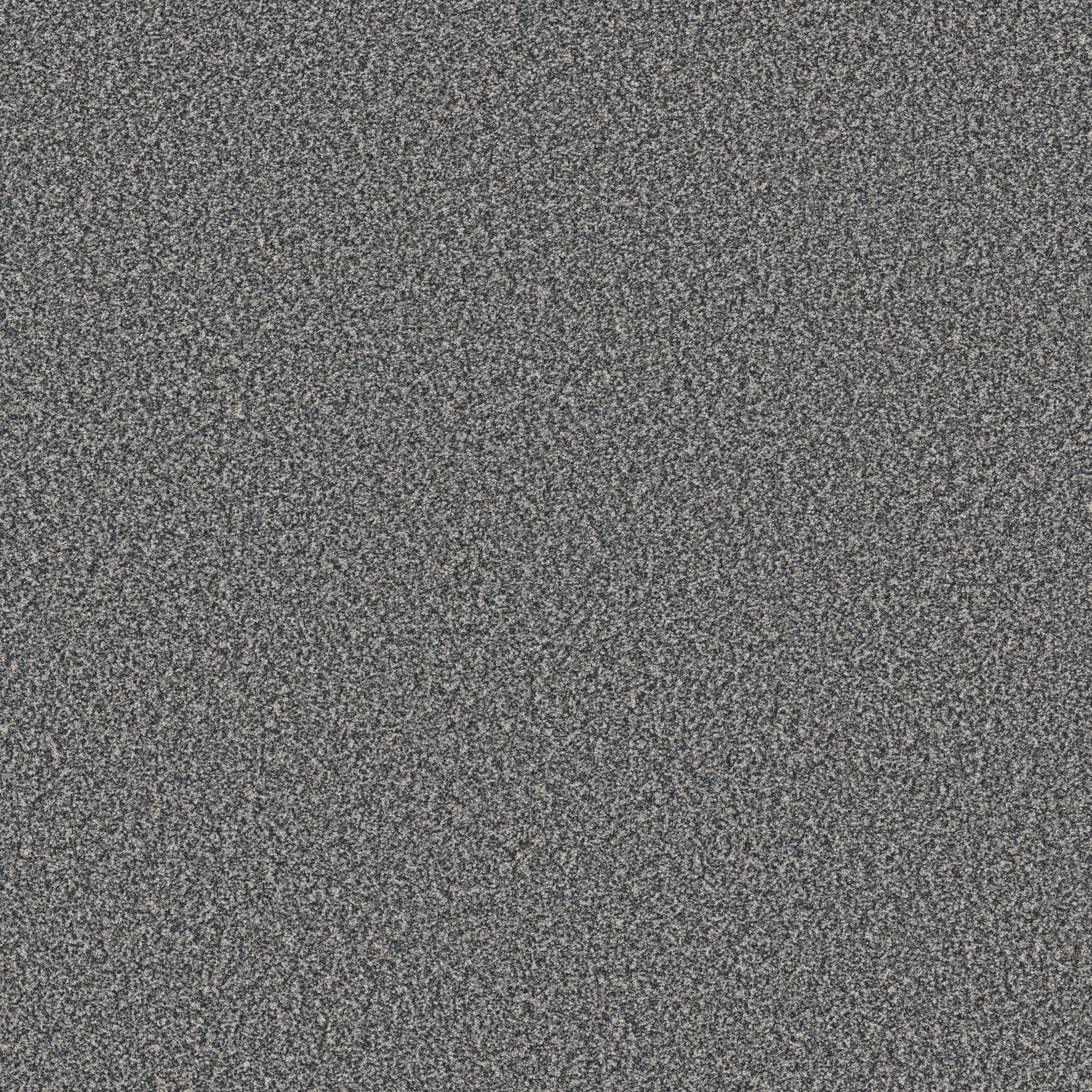 TWEED COMFORT II CAROLINA MAIN