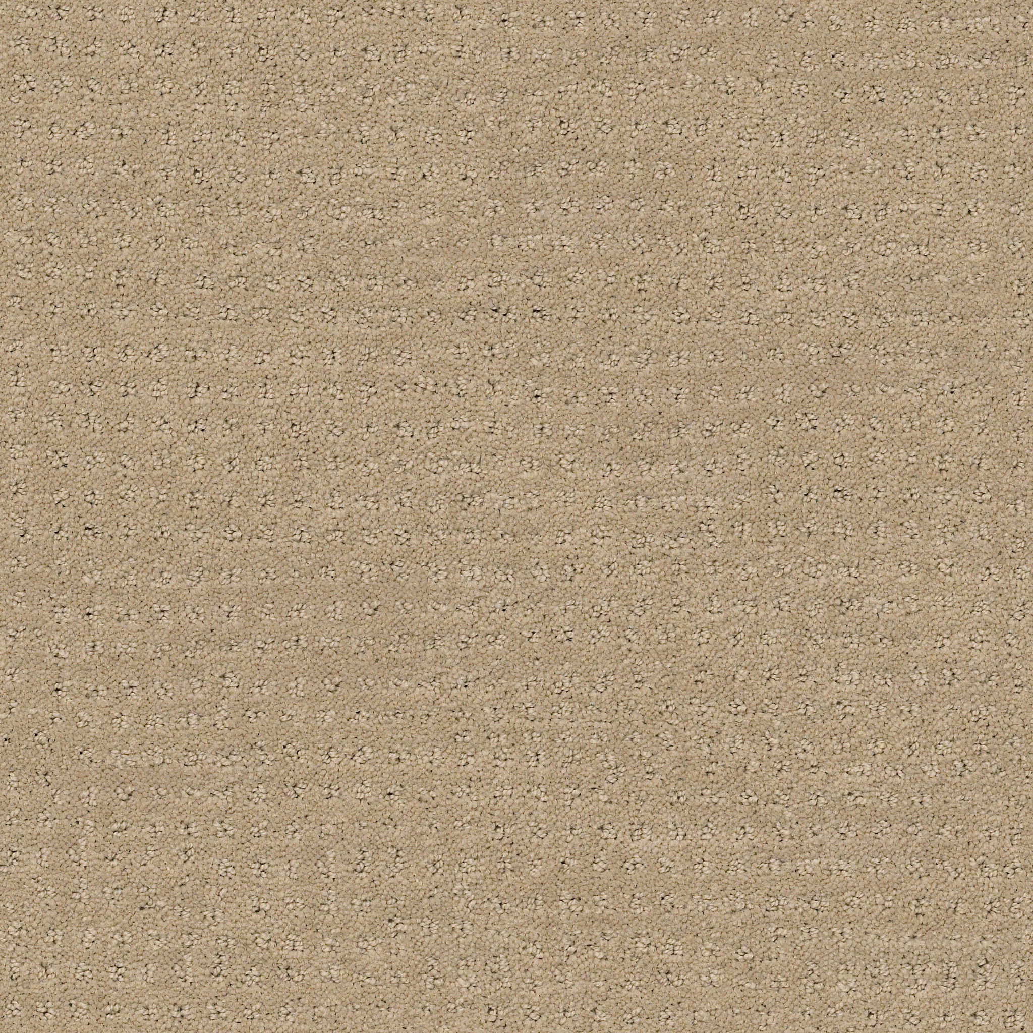 ALLURING DISPOSITION ESPRESSO MAIN