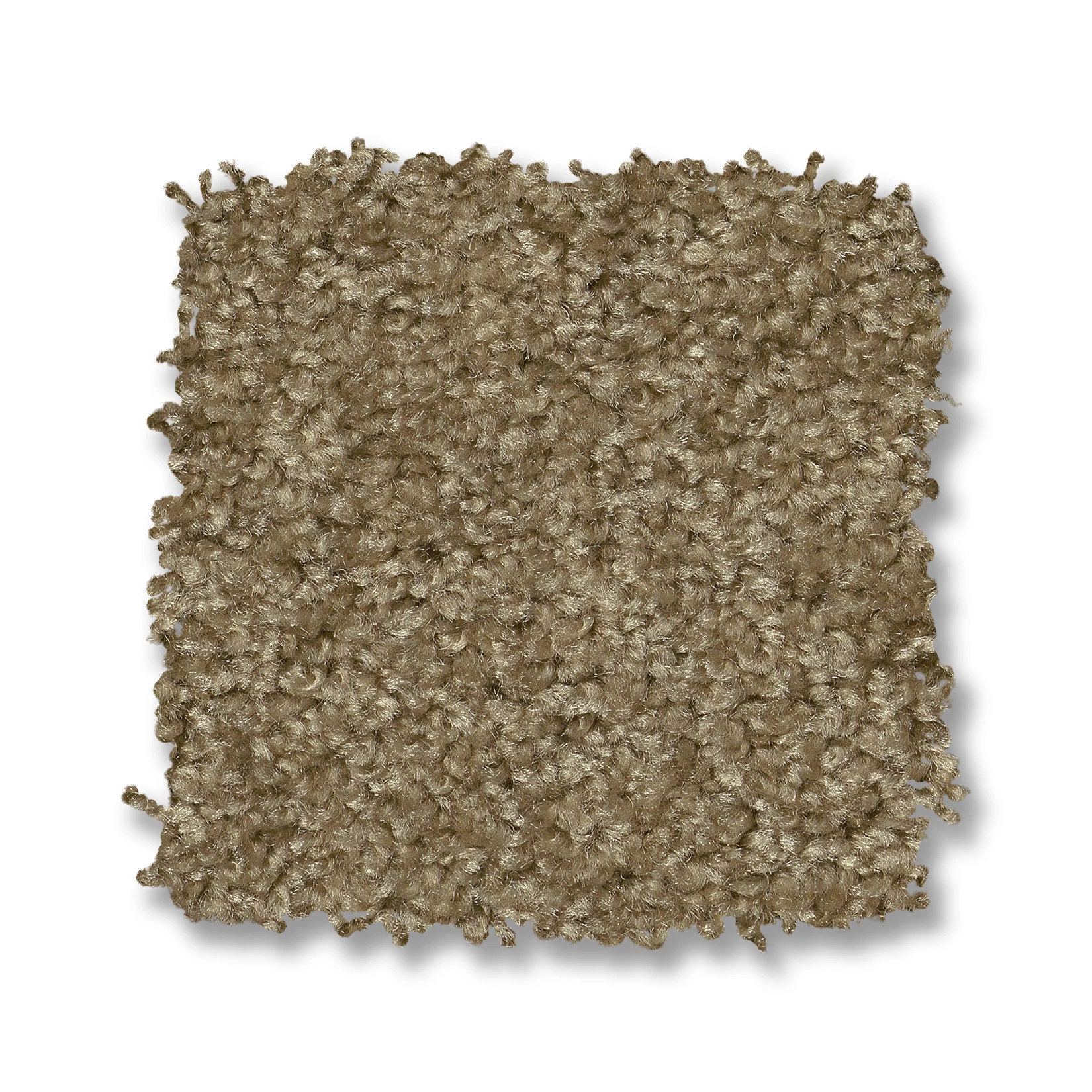 PREMIER ROLE BUNGALOW SWATCH