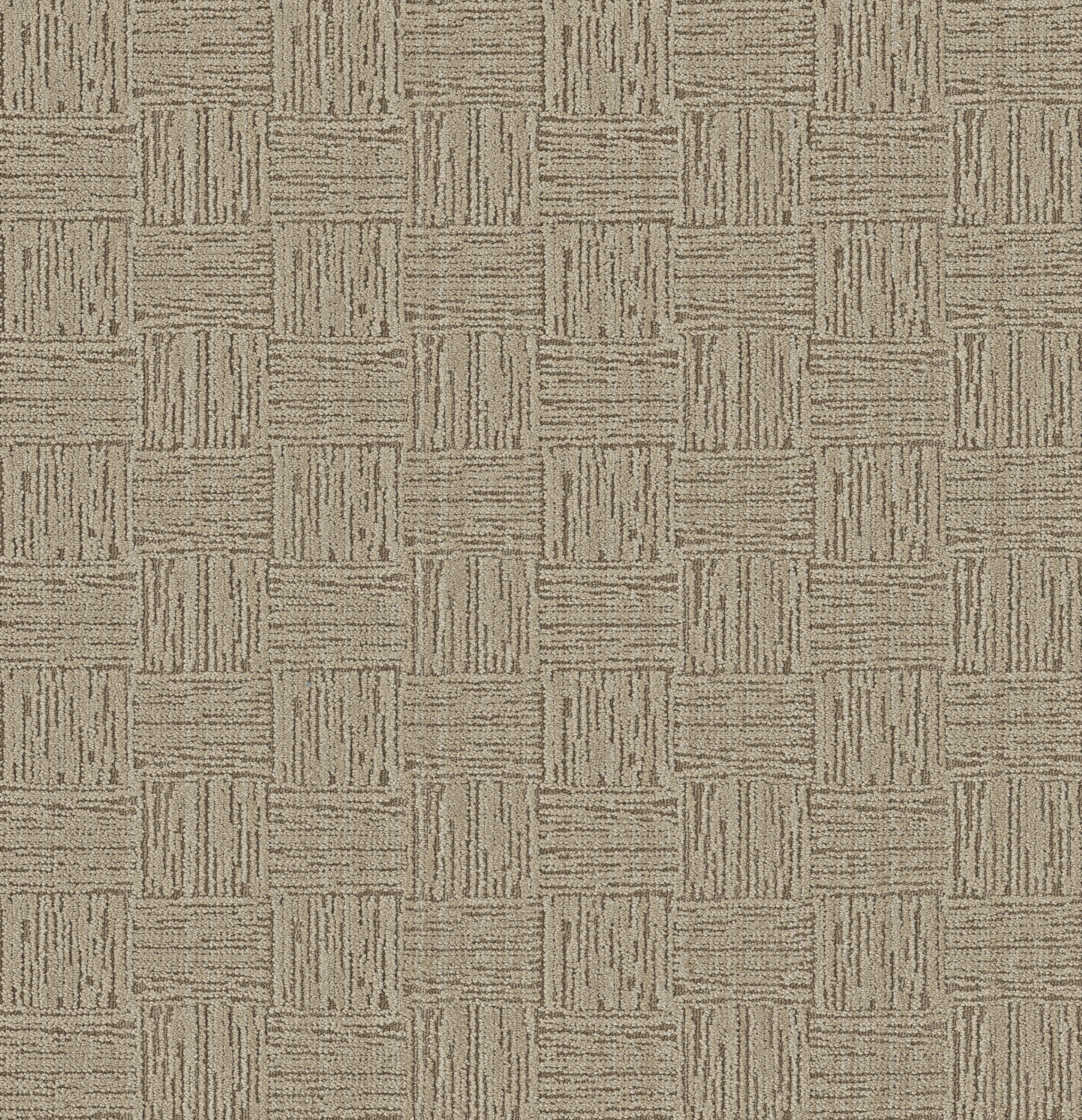 MODERNE AGED PARCHMENT MAIN