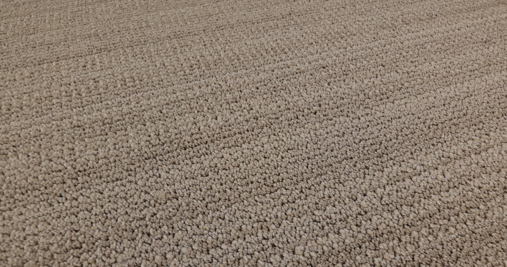 IN RHYTHM BAGEL 360PROD