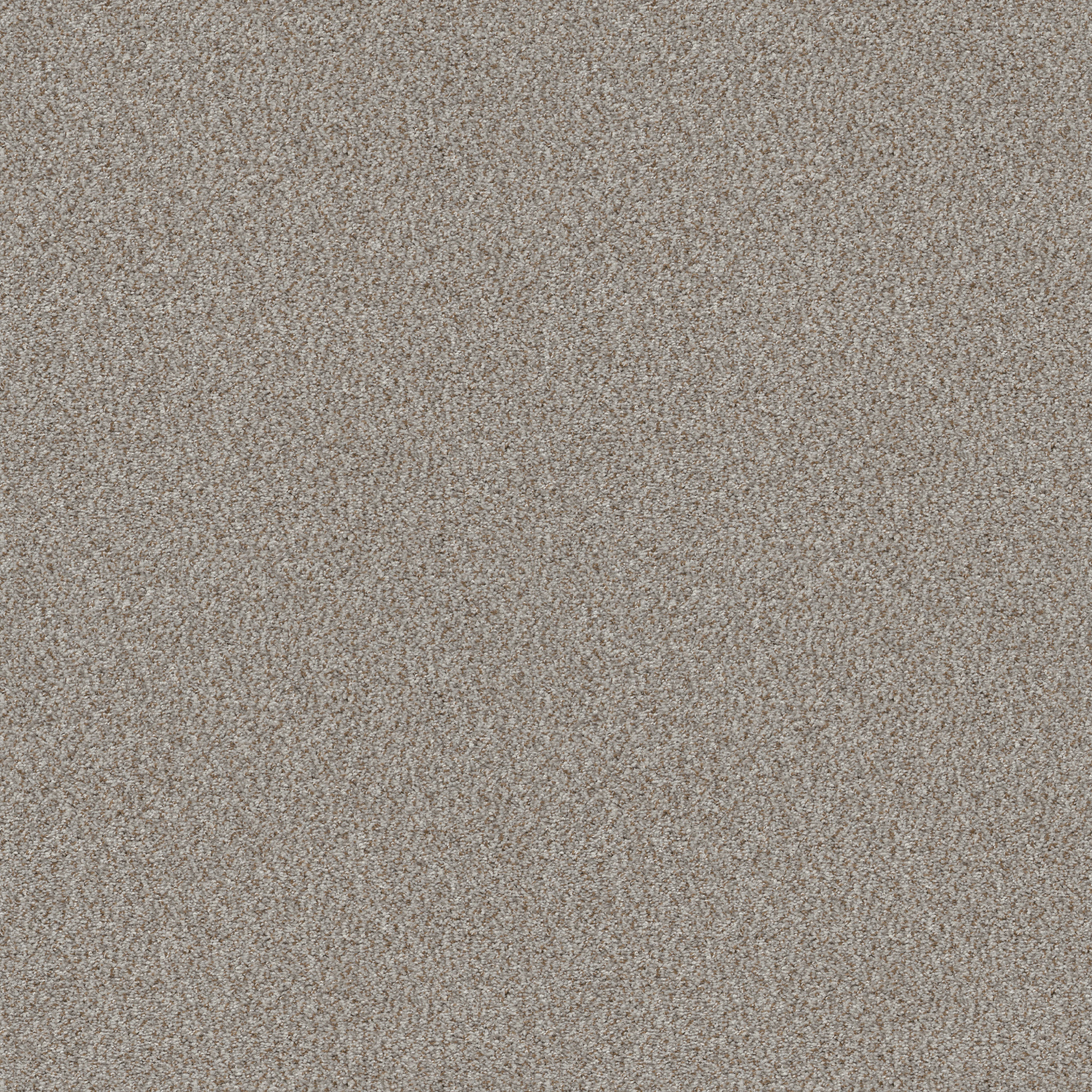 CABANA LIFE (B) SEASHELL MAIN