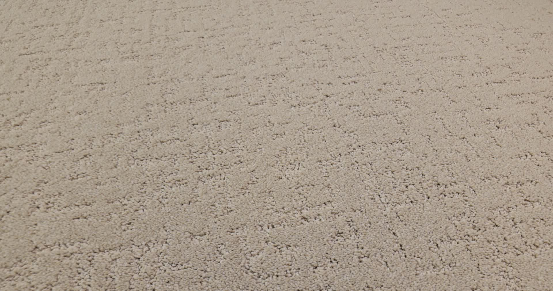 SECRET DESTINATION DUNE VIEW 360PROD