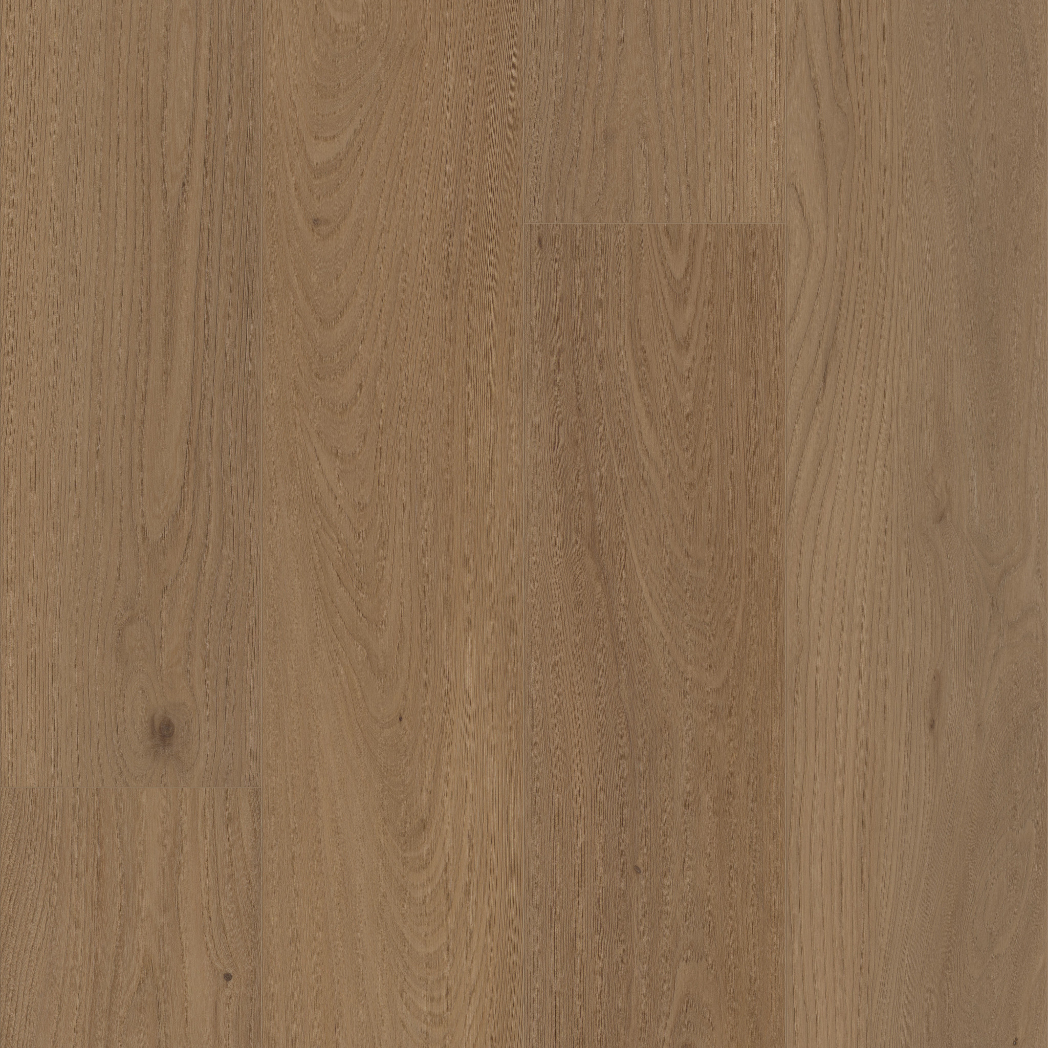 CORETEC PRO ENHANCED VV491 SAN MARINO ELM MAIN
