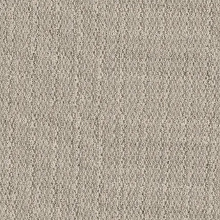 Durable beige patterned carpet for everyday comfort and easy maintenance Beige patterned carpet swatch with textured design