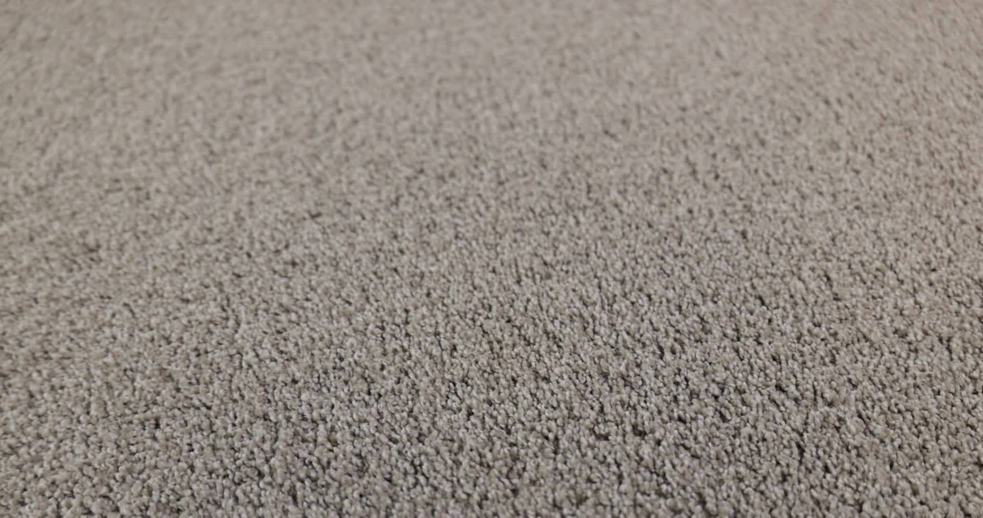 ACADIA PARK SILVER SCREEN 360PROD