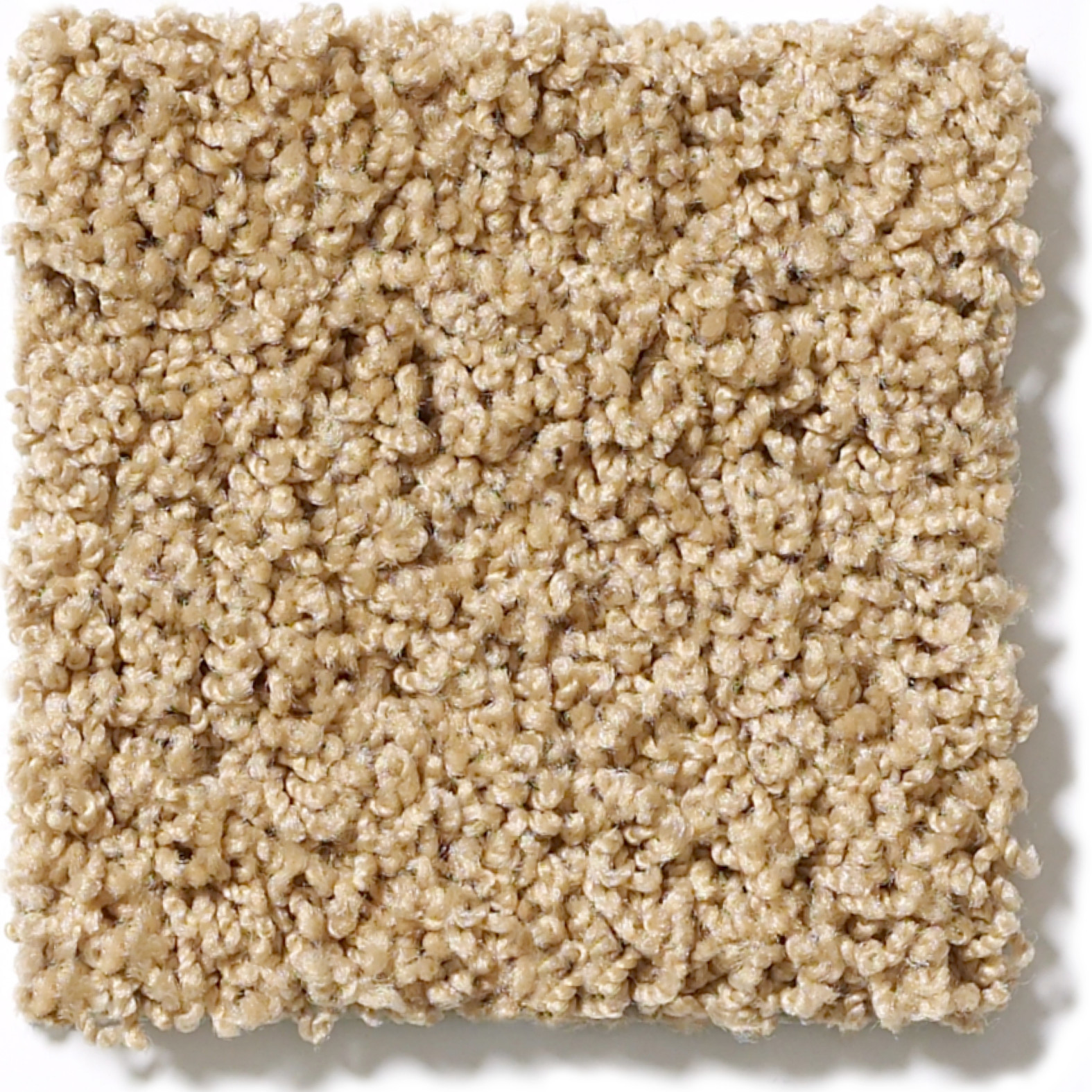 WEATHERFORD ACORN SWATCH